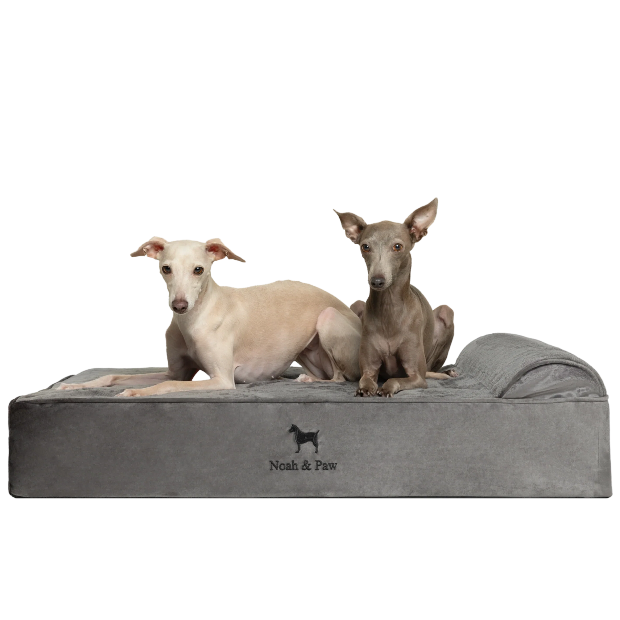 Velvet, Orthopedic Pet Bed, Classic Style - Grey - L