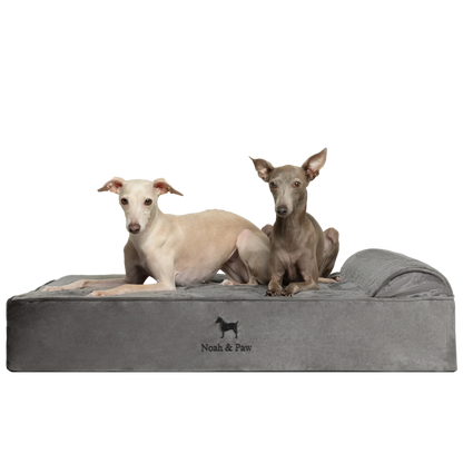 Velvet, Orthopedic Pet Bed, Classic Style - Grey - L