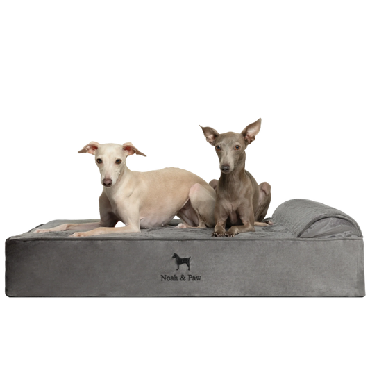 Velvet, Orthopedic Pet Bed, Classic Style - Grey - L