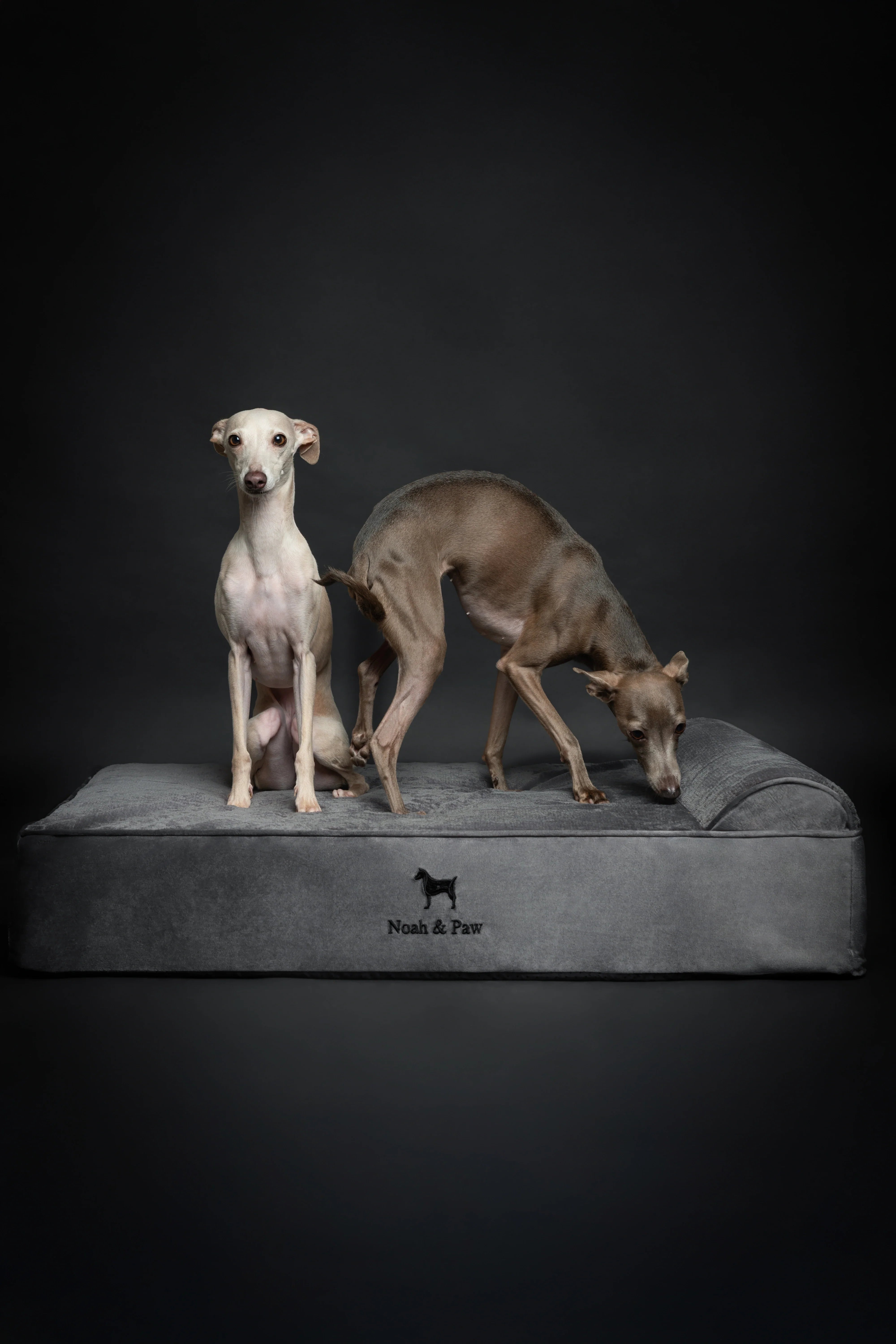 Velvet Orthopedic Pet Bed, Memory Foam, Infused with Cooling Gel - Classic