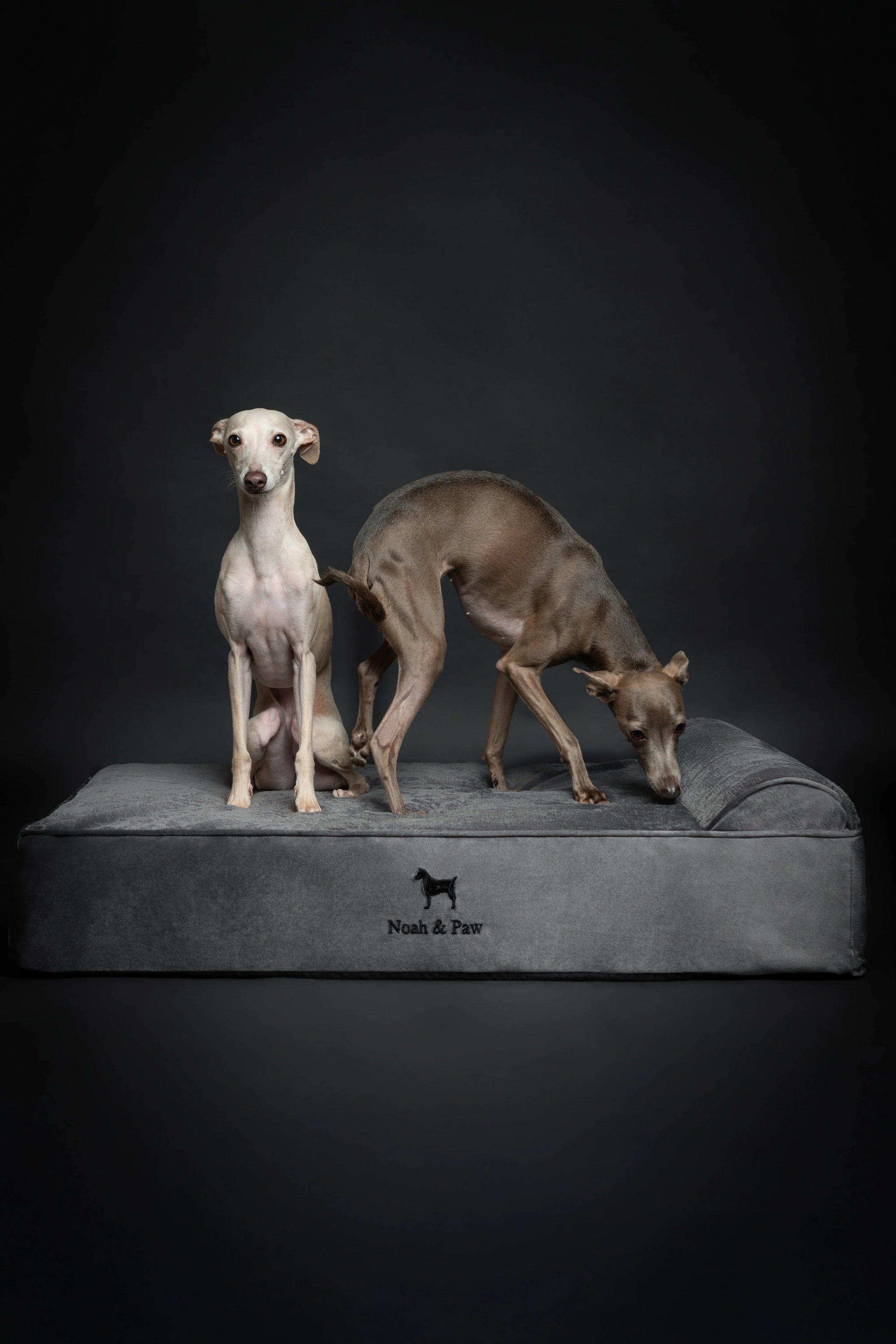 Velvet Orthopedic Pet Bed, Memory Foam, Infused with Cooling Gel - Classic