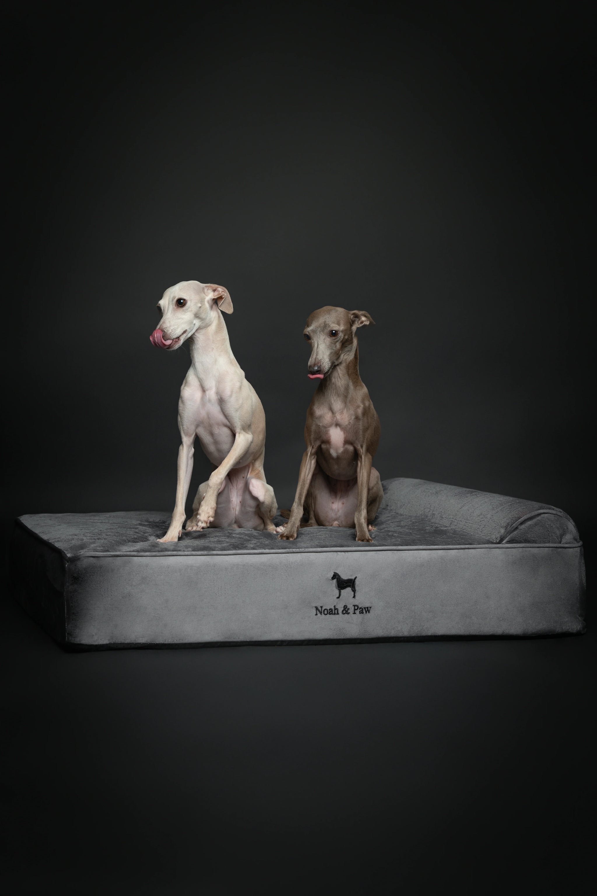 Velvet Orthopedic Pet Bed, Memory Foam, Infused with Cooling Gel - Classic