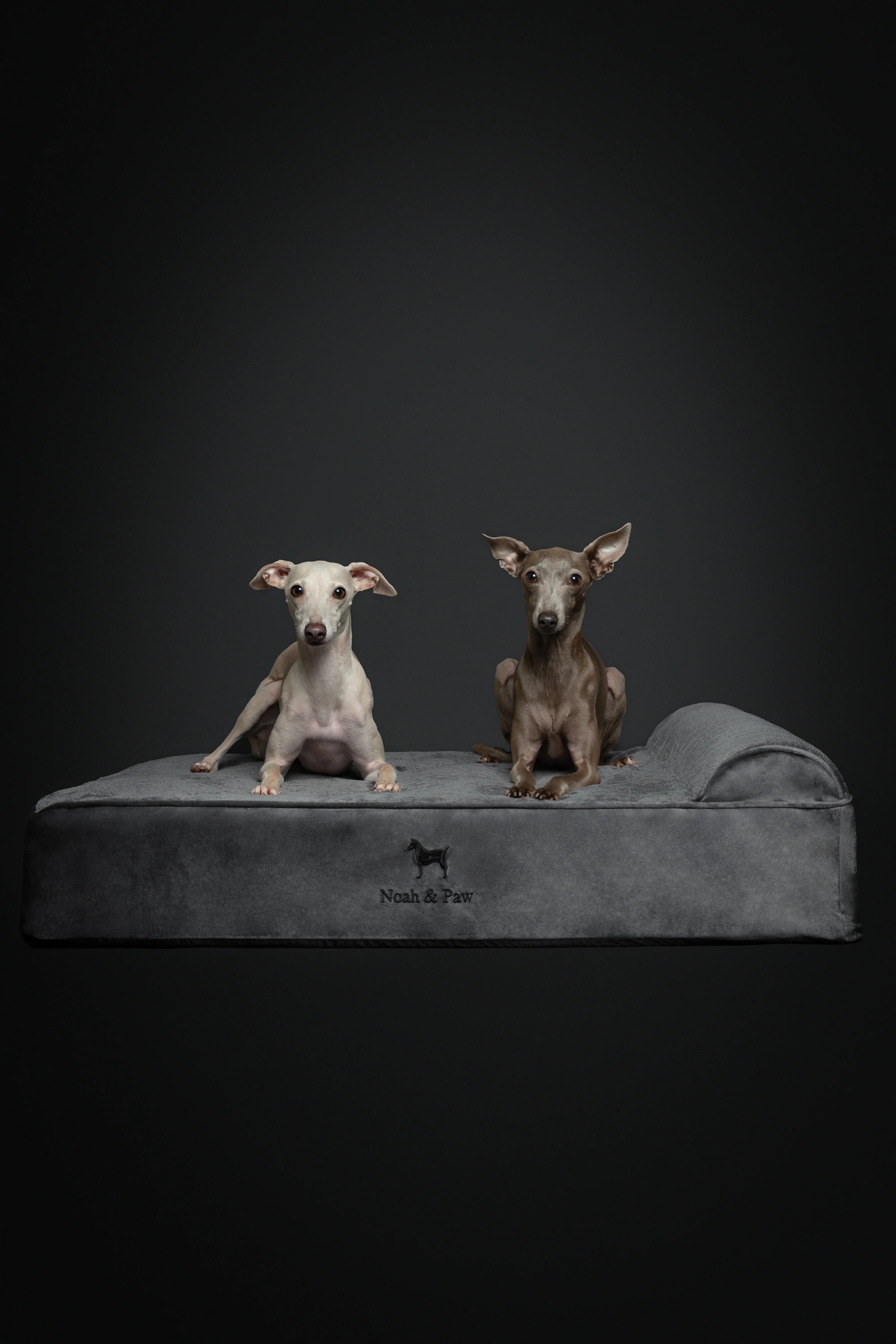 Velvet Orthopedic Pet Bed, Memory Foam, Infused with Cooling Gel - Classic