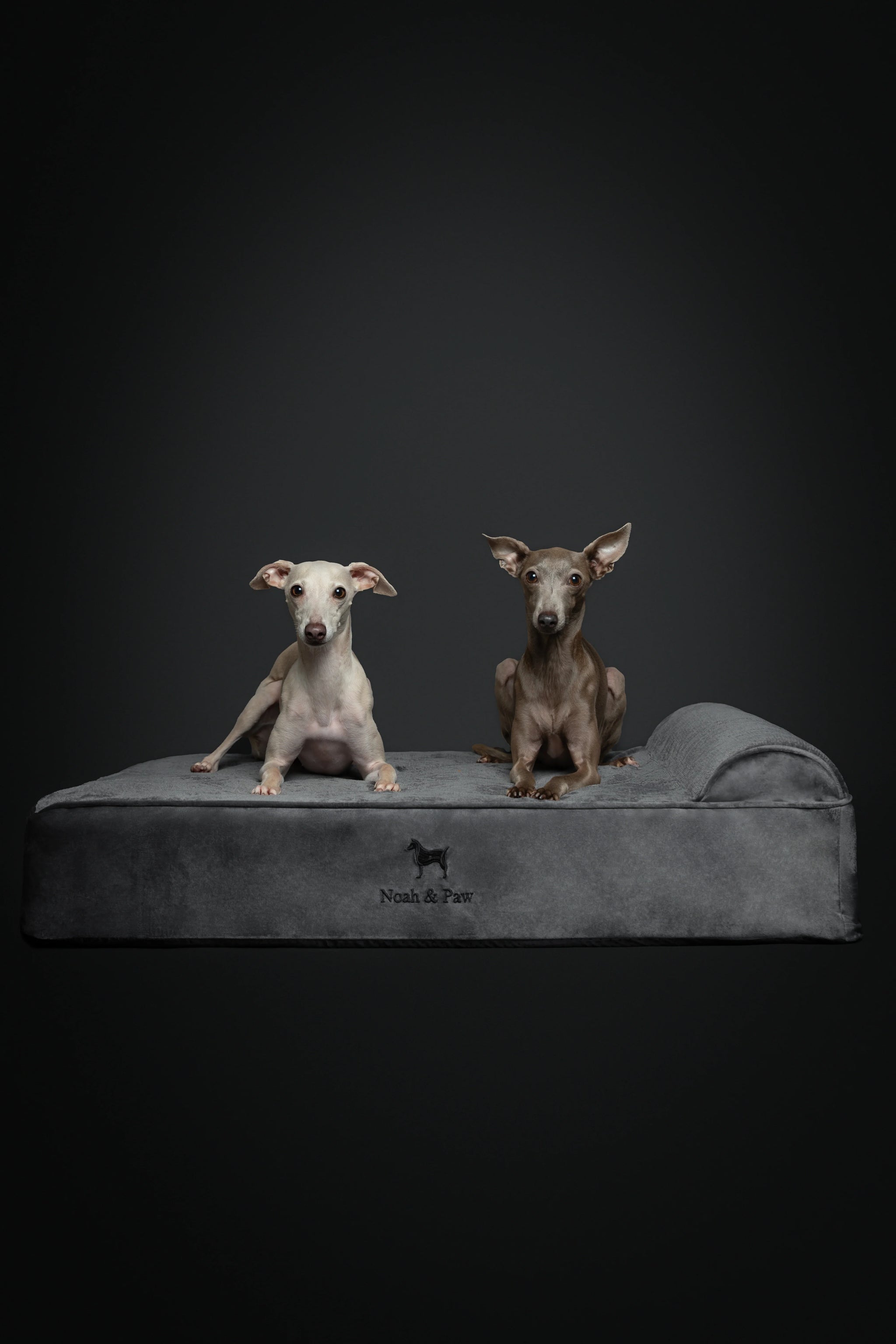 Velvet Orthopedic Pet Bed, Memory Foam, Infused with Cooling Gel - Classic