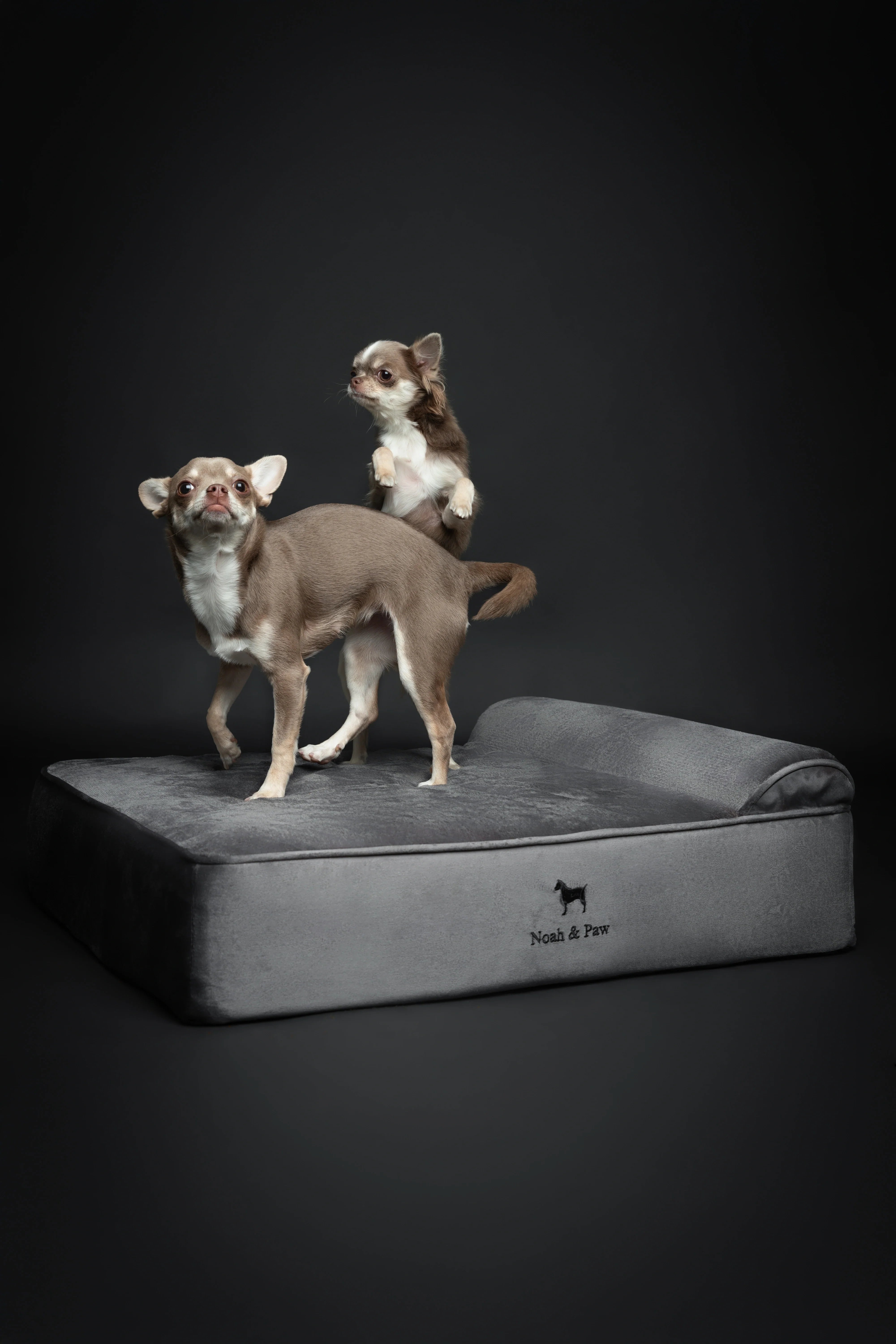 Velvet Orthopedic Pet Bed, Memory Foam, Infused with Cooling Gel - Classic