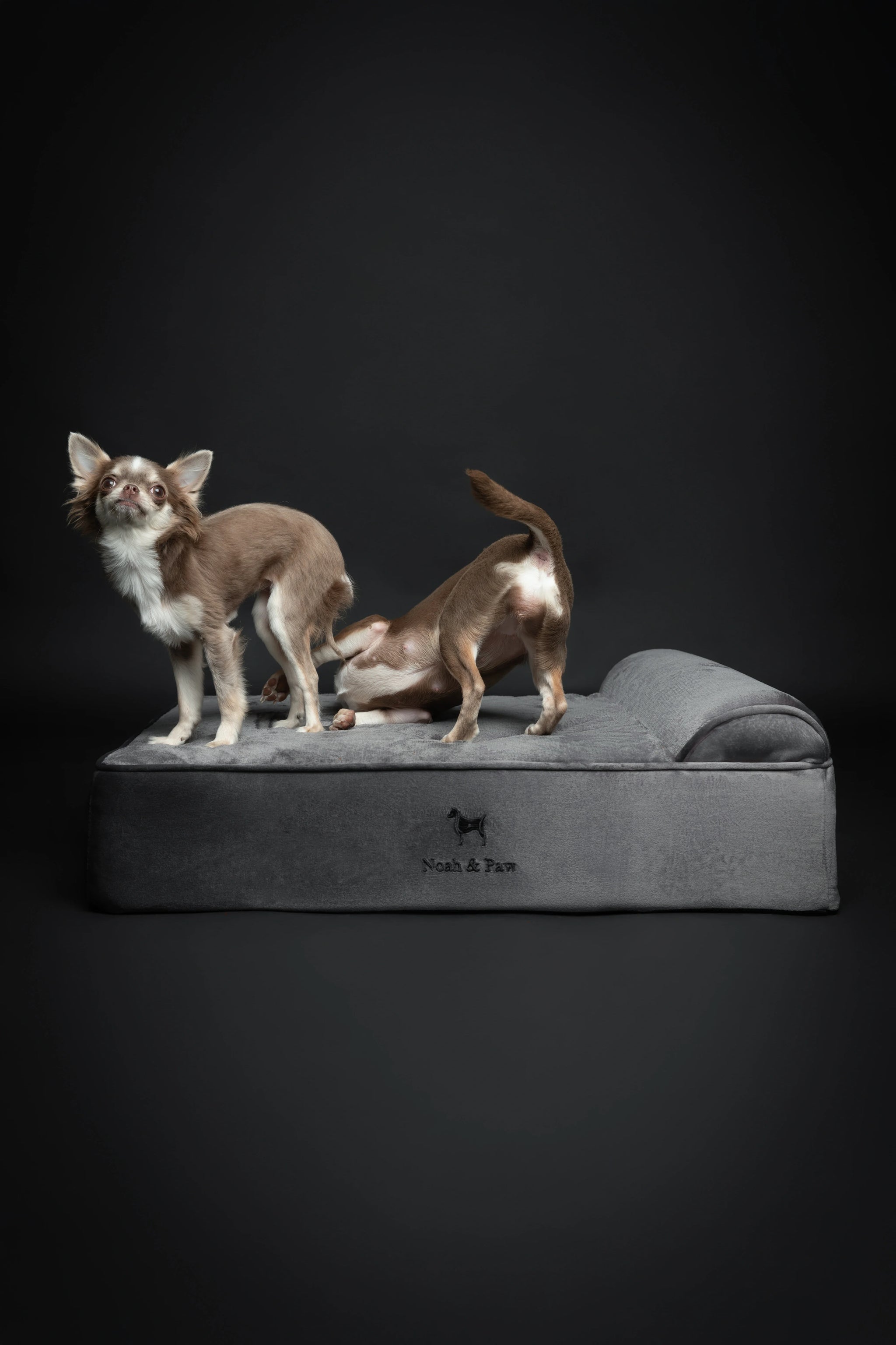 Velvet Orthopedic Pet Bed, Memory Foam, Infused with Cooling Gel - Classic