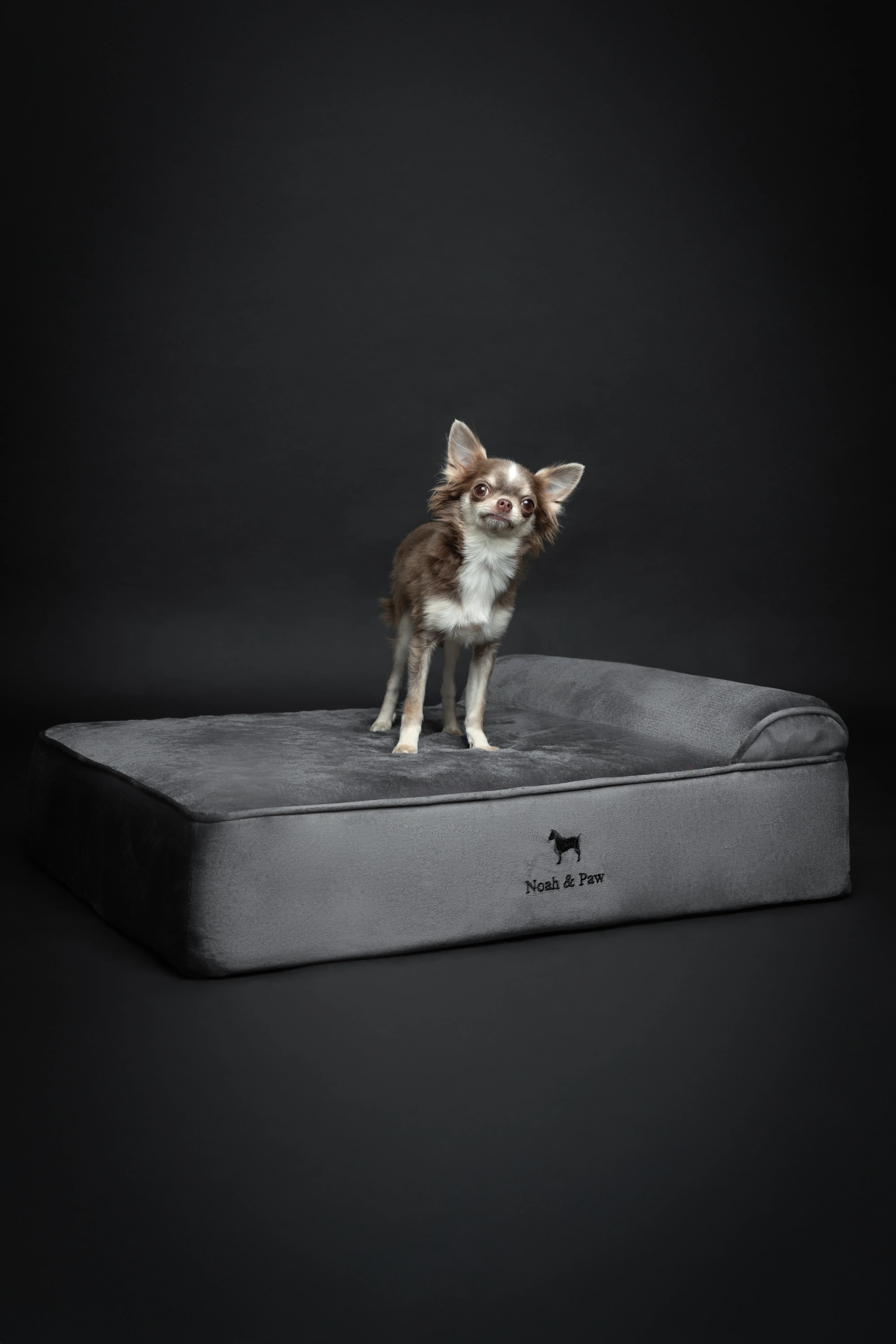 Velvet Orthopedic Pet Bed, Memory Foam, Infused with Cooling Gel - Classic