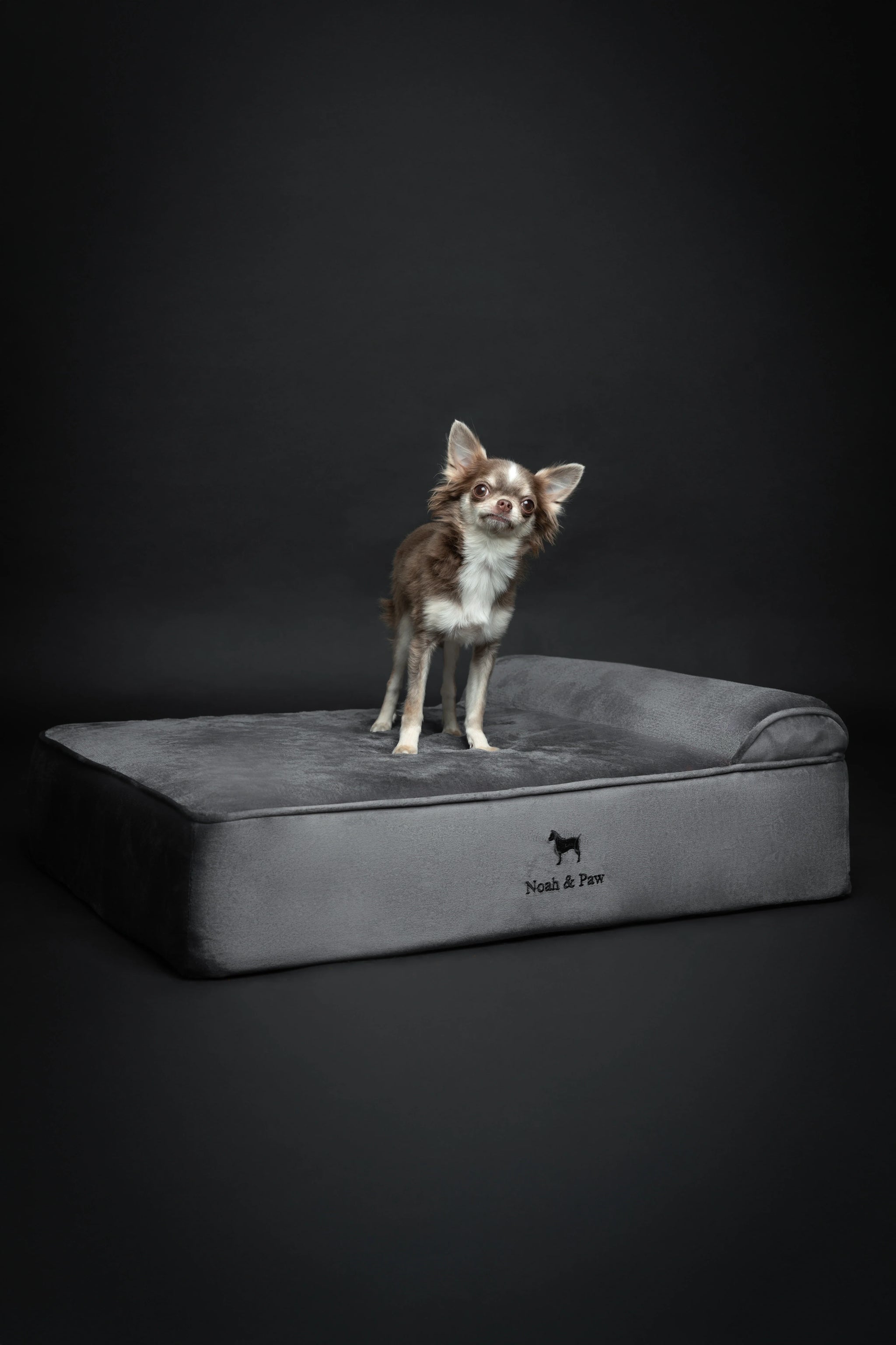Velvet Orthopedic Pet Bed, Memory Foam, Infused with Cooling Gel - Classic