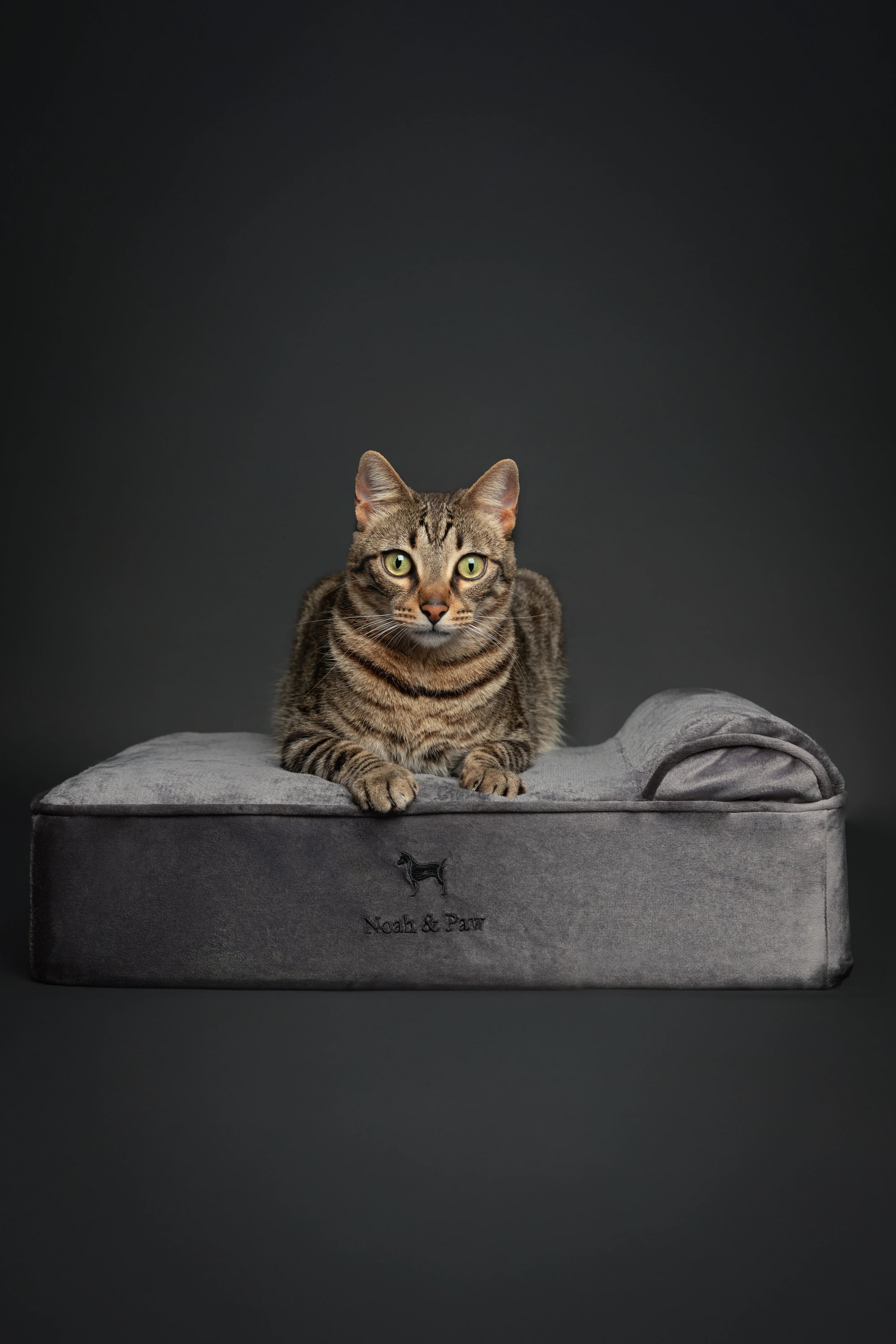 Velvet Orthopedic Pet Bed, Memory Foam, Infused with Cooling Gel - Classic