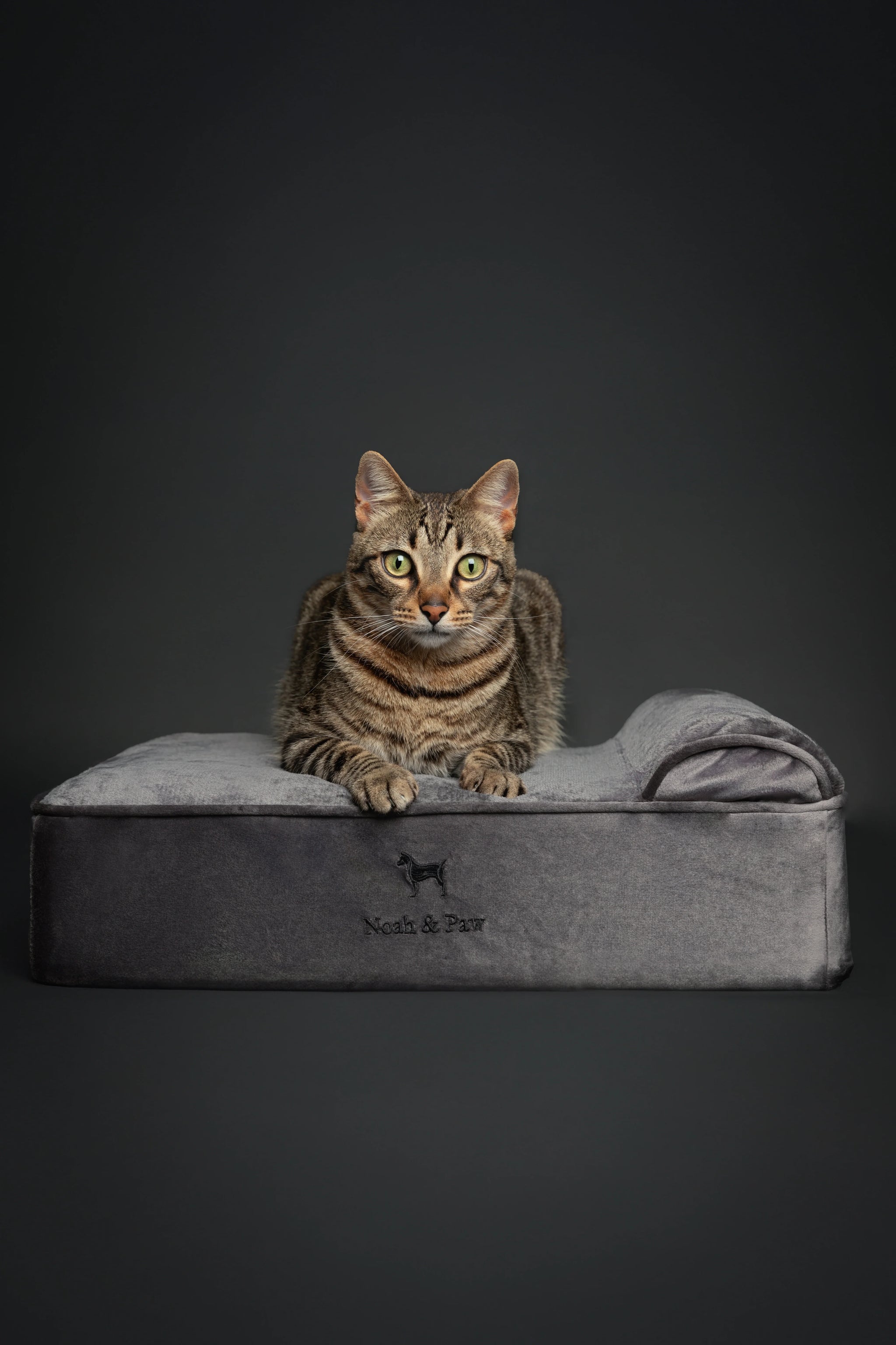 Velvet Orthopedic Pet Bed, Memory Foam, Infused with Cooling Gel - Classic
