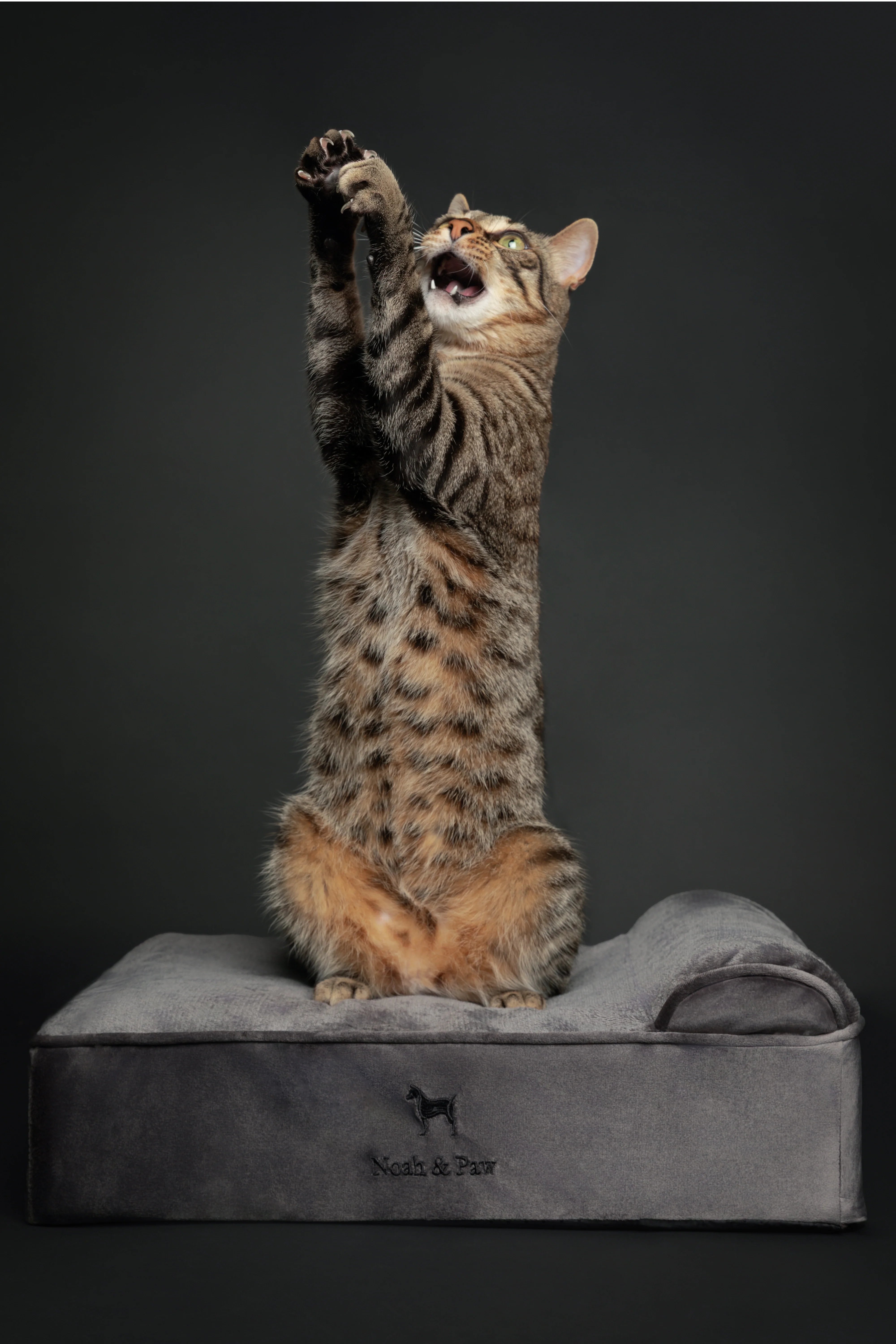 Velvet Orthopedic Pet Bed, Memory Foam, Infused with Cooling Gel - Classic