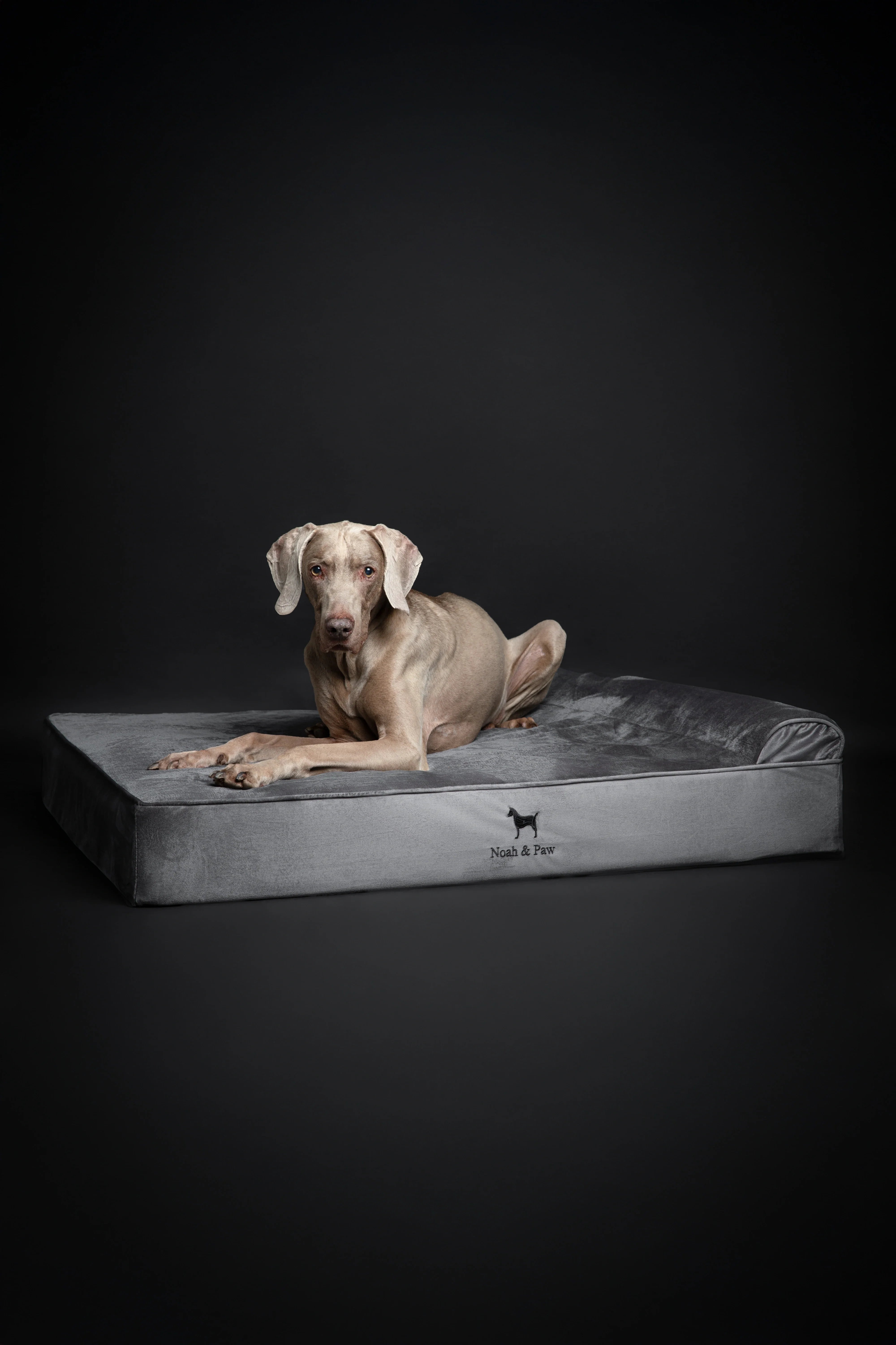 Velvet Orthopedic Pet Bed, Memory Foam, Infused with Cooling Gel - Classic