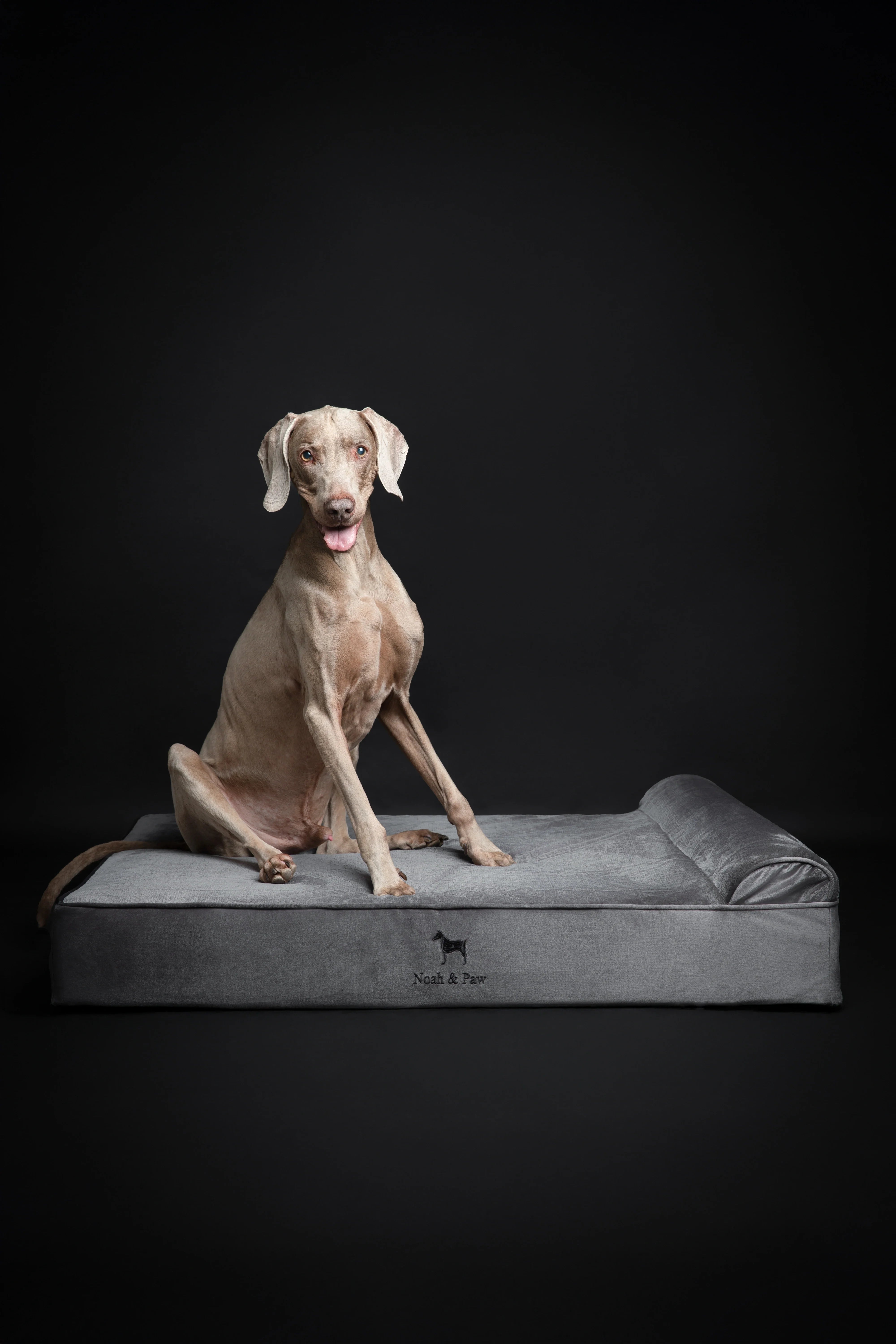 Velvet Orthopedic Pet Bed, Memory Foam, Infused with Cooling Gel - Classic