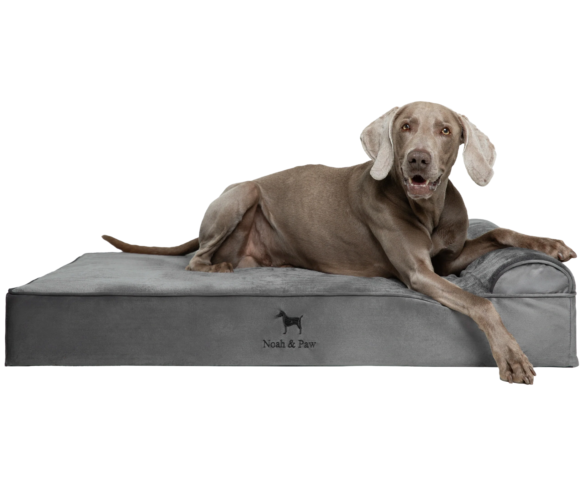 Velvet, Orthopedic Pet Bed, Classic Style - Grey - XL