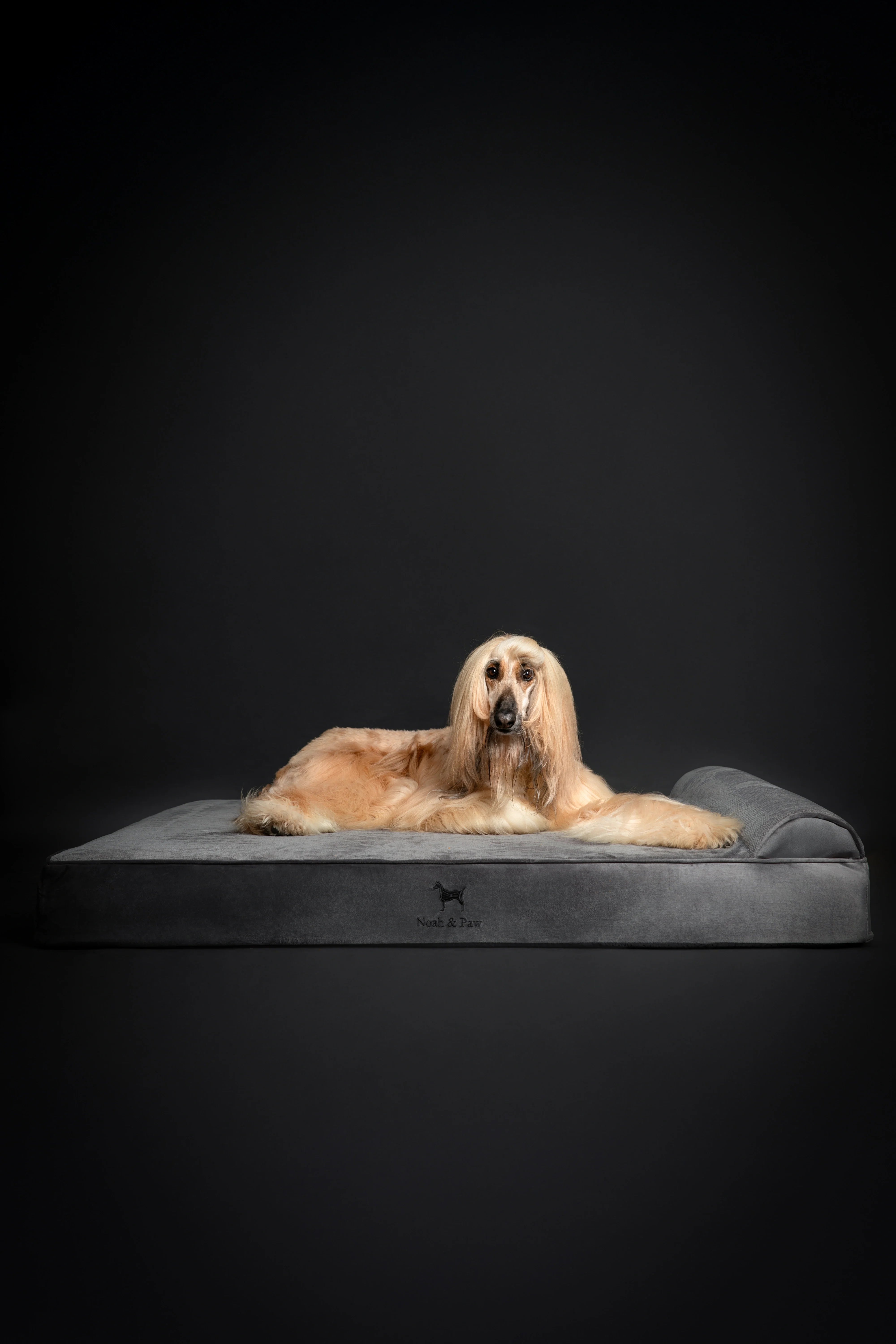 Velvet Orthopedic Pet Bed, Memory Foam, Infused with Cooling Gel - Classic