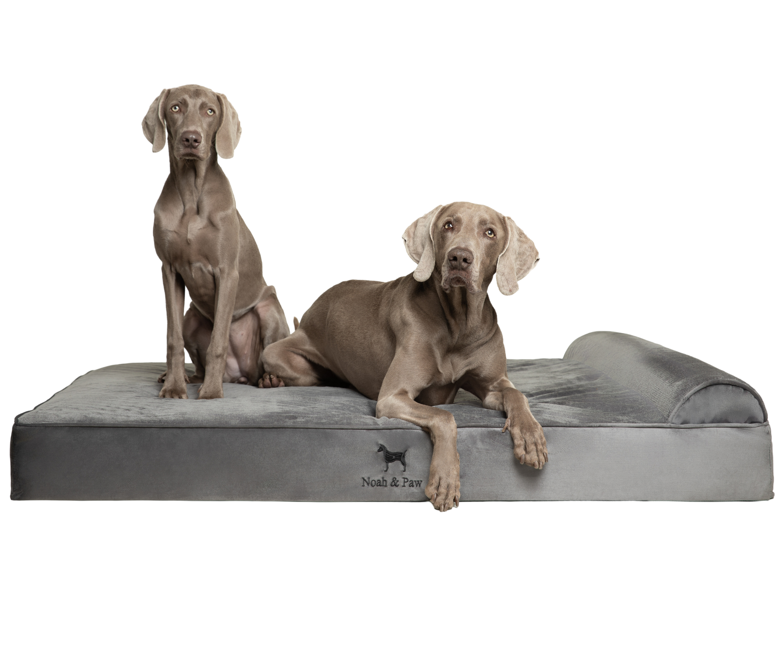 Velvet, Orthopedic Pet Bed, Classic Style - Grey - XXL