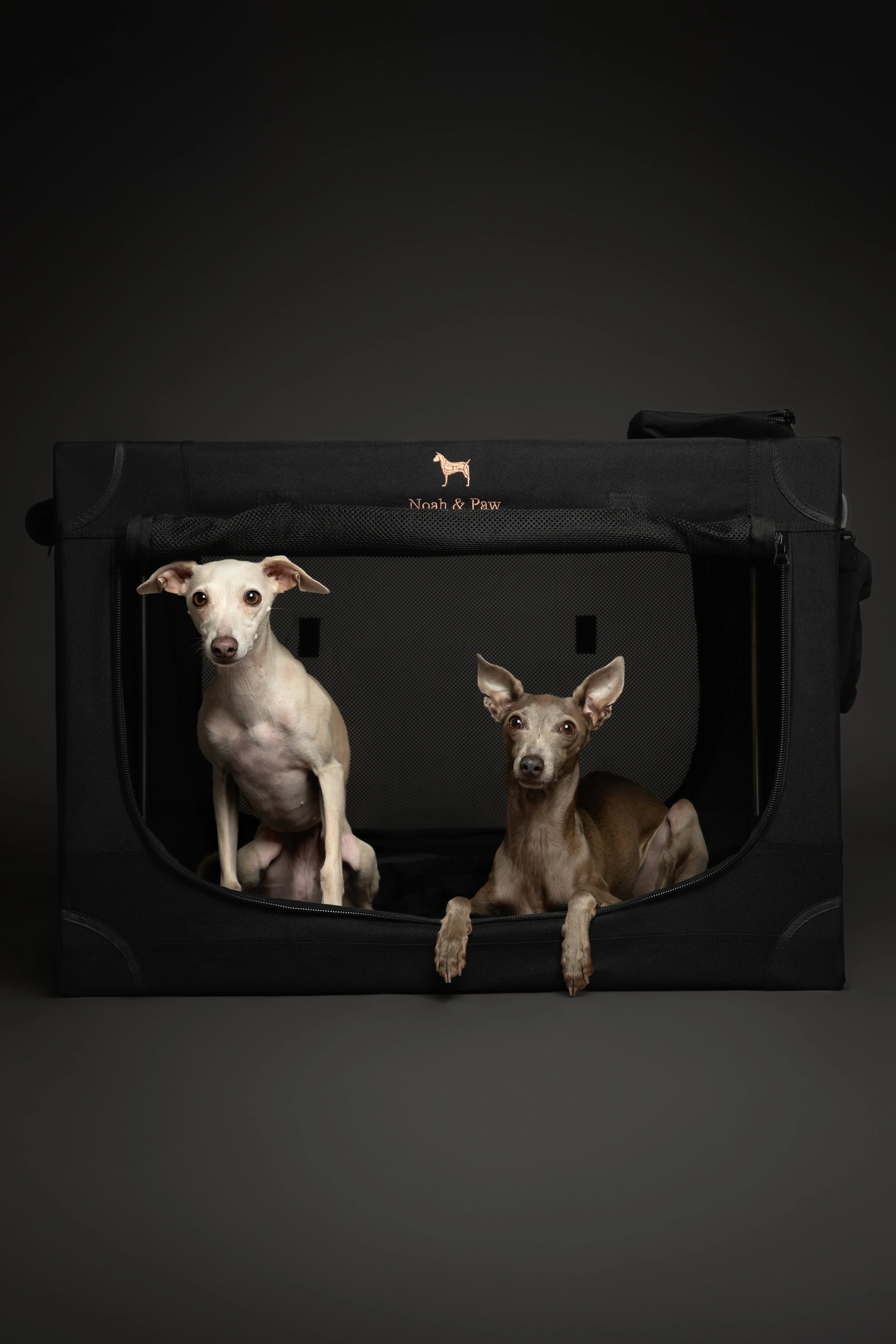 Collapsible Dog Crate Including Pet Mat Ideal for Traveling (Patented Folding)