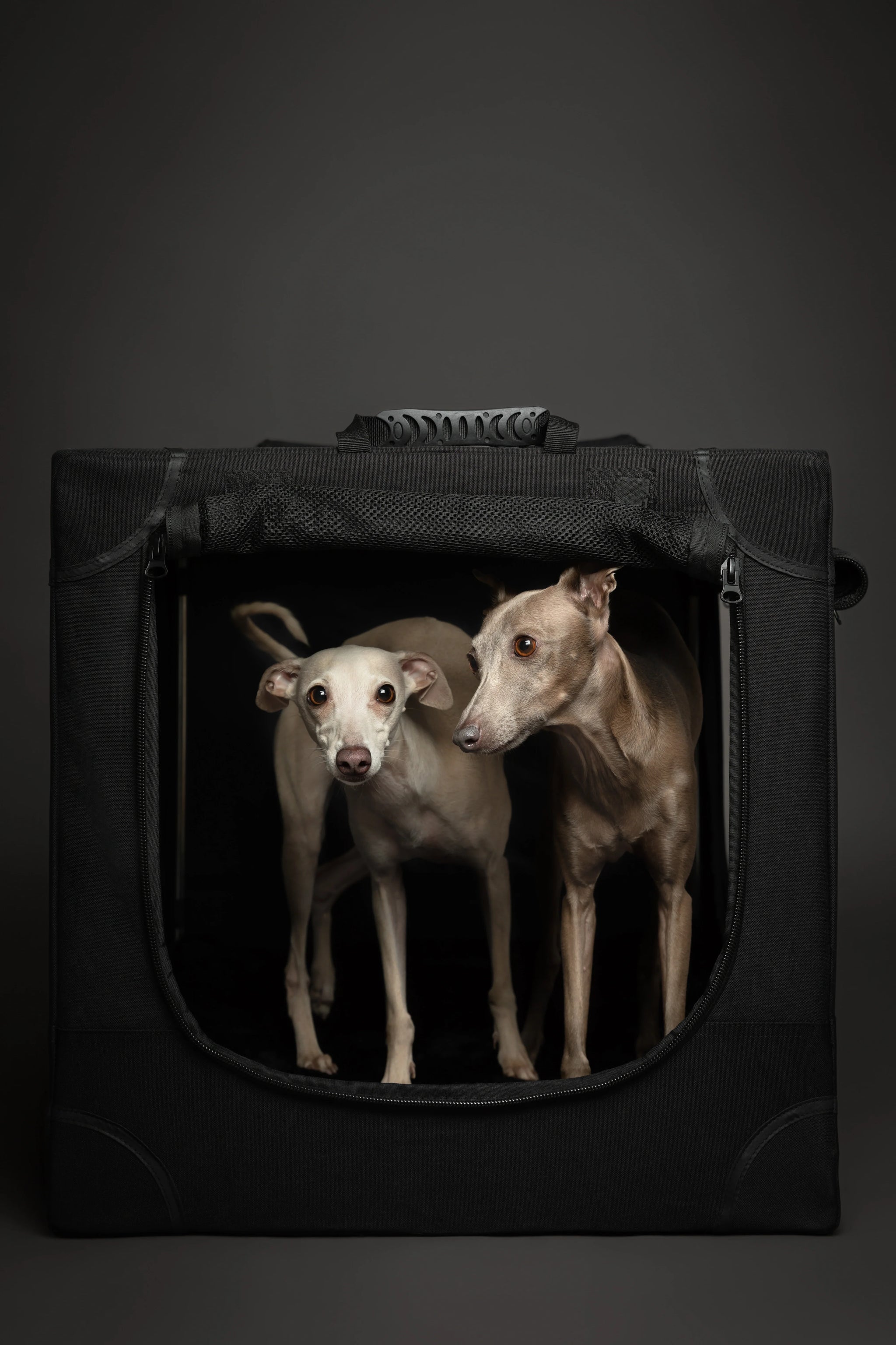 Collapsible Dog Crate Including Pet Mat Ideal for Traveling (Patented Folding)