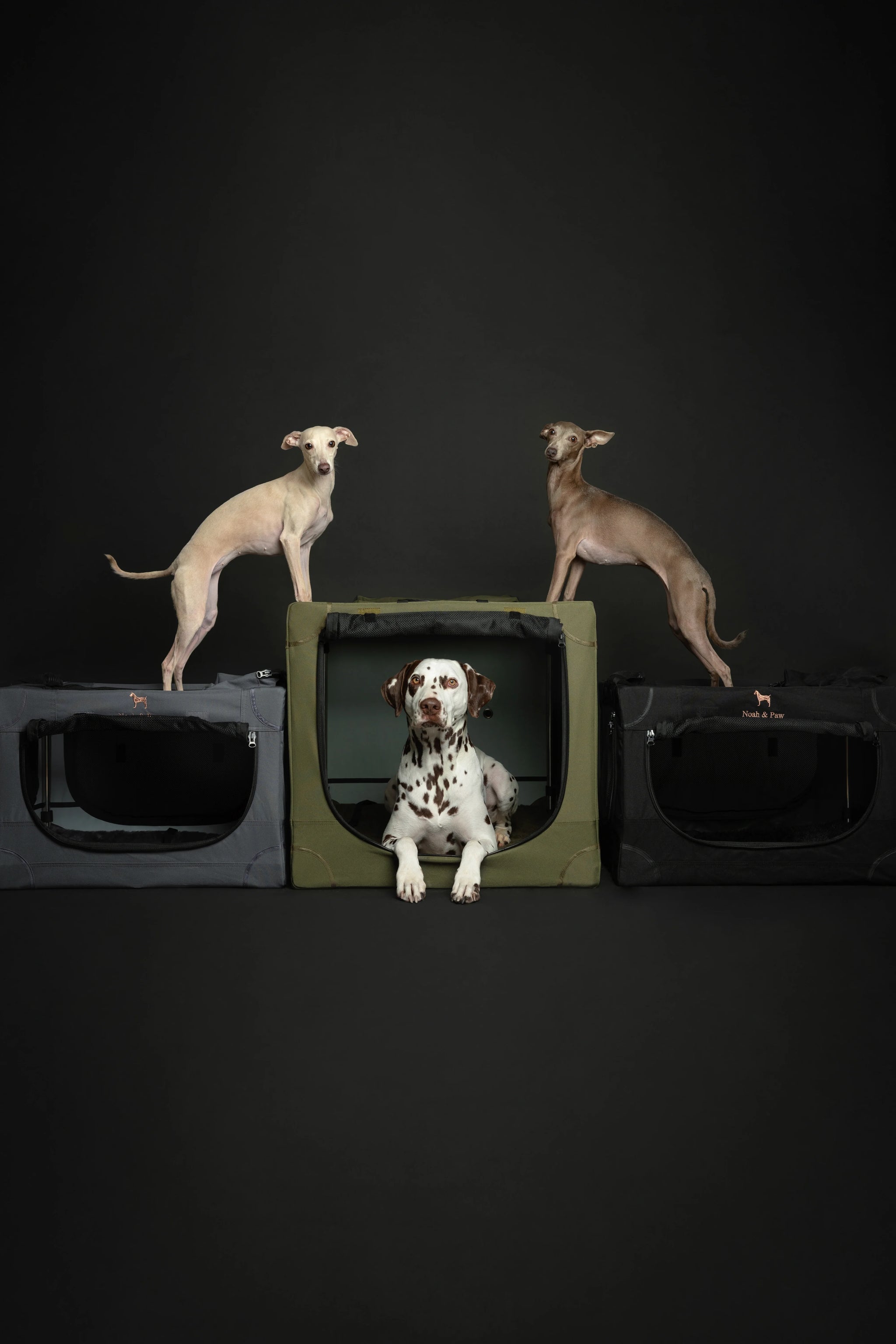 Collapsible Dog Crate Including Pet Mat Ideal for Traveling (Patented Folding)