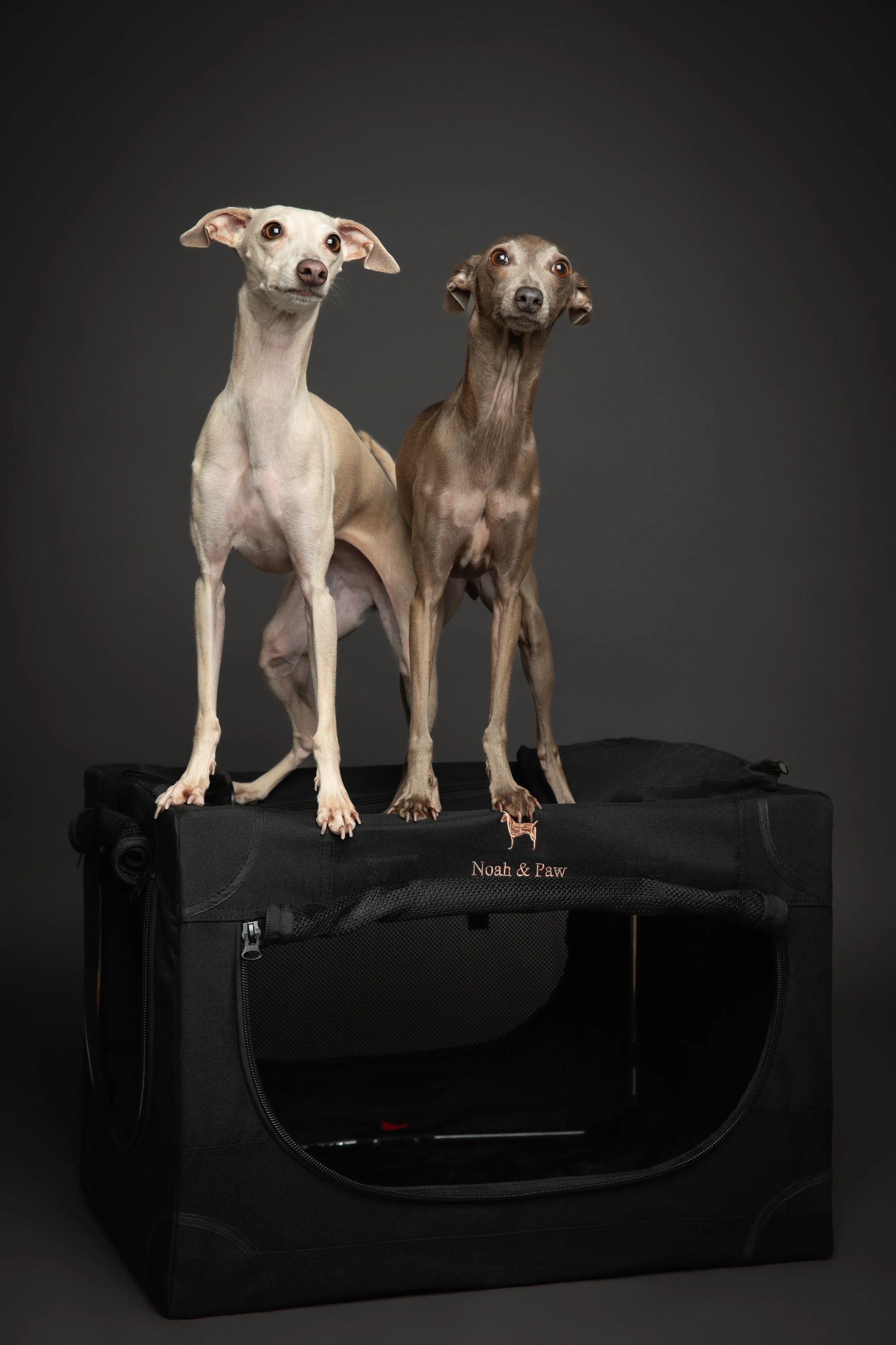 Collapsible Dog Crate Including Pet Mat Ideal for Traveling (Patented Folding)