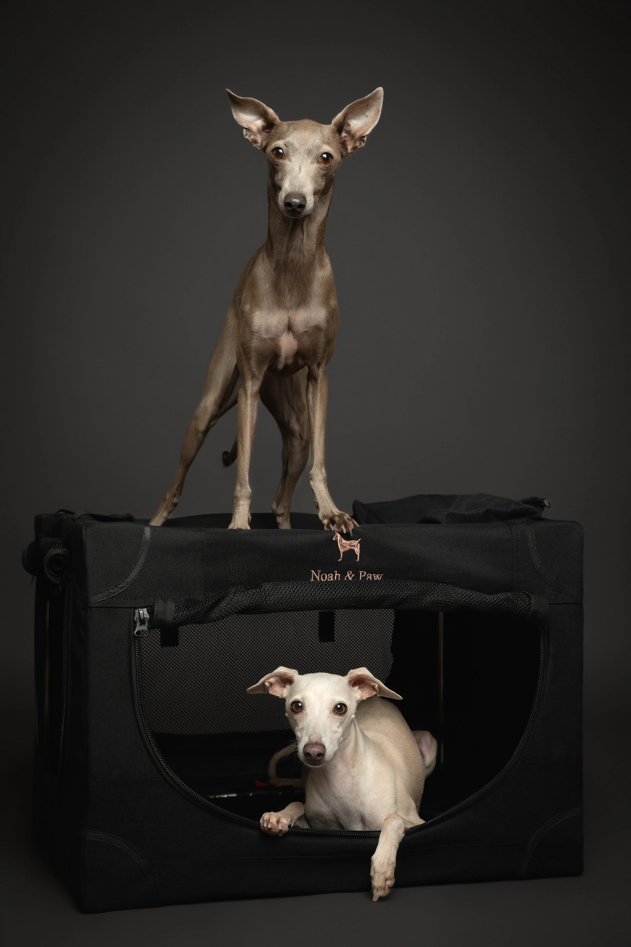 Collapsible Dog Crate Including Pet Mat Ideal for Traveling (Patented Folding)