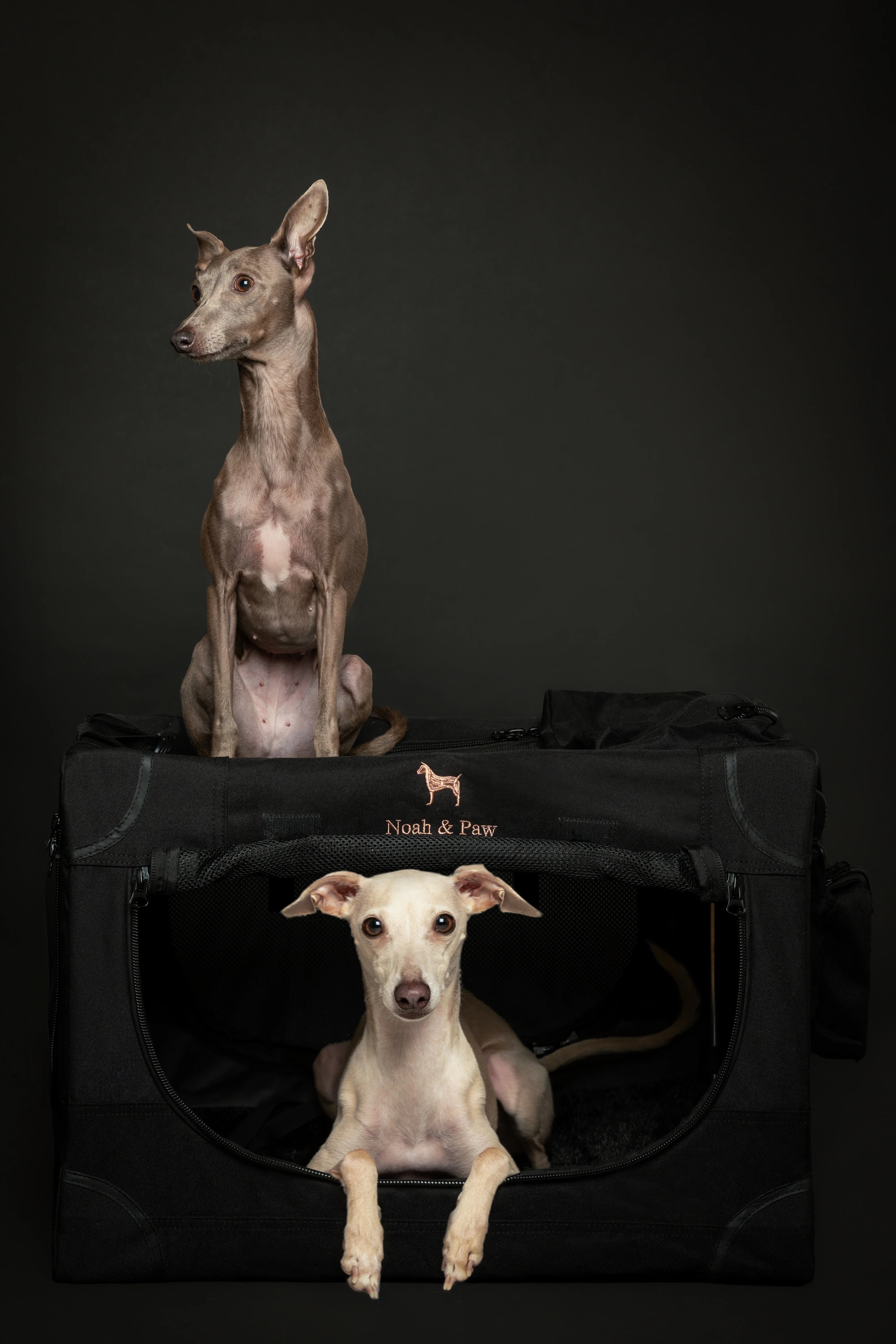 Collapsible Dog Crate Including Pet Mat Ideal for Traveling (Patented Folding)