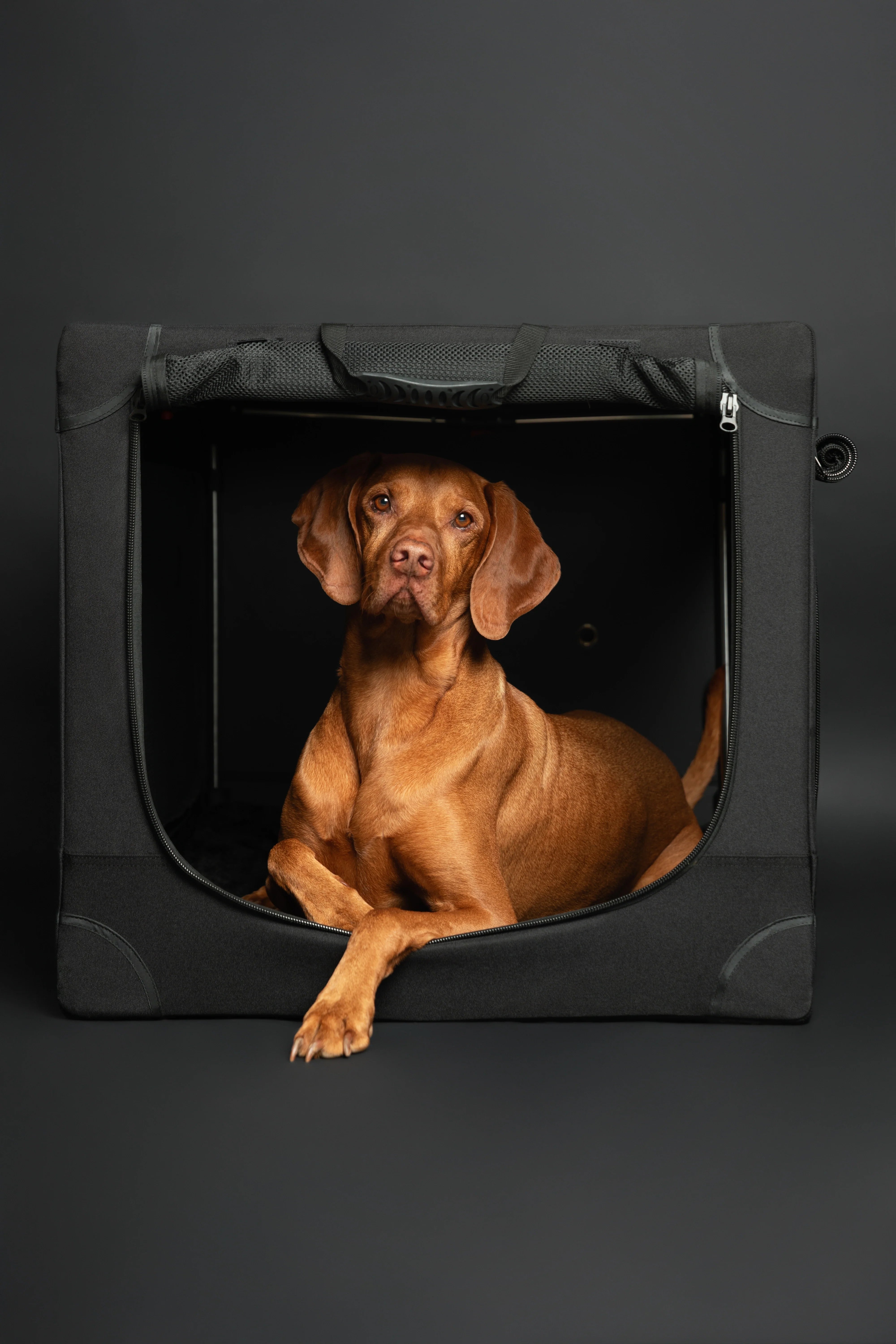 Collapsible Dog Crate Including Pet Mat Ideal for Traveling (Patented Folding)
