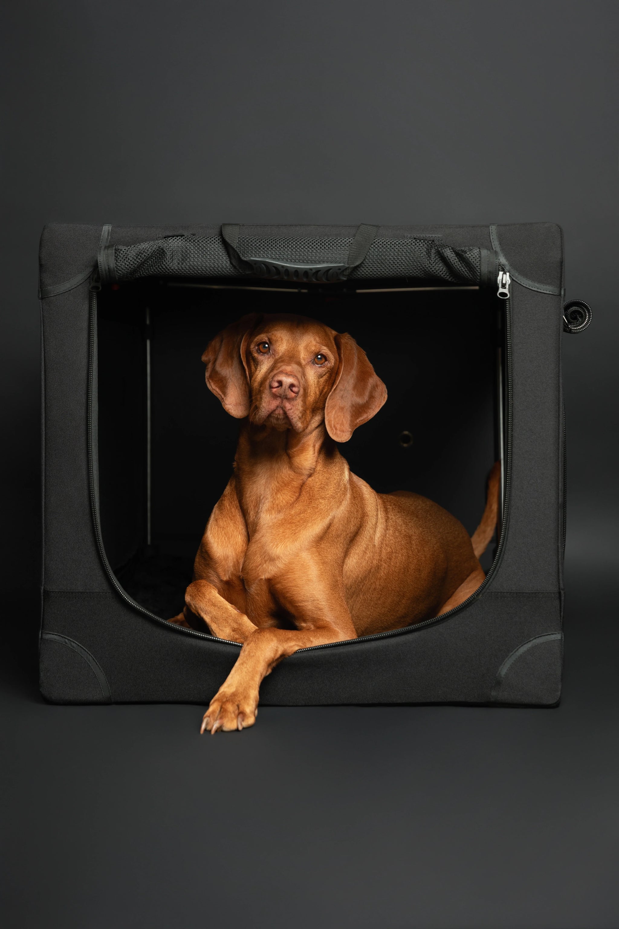 Collapsible Dog Crate Including Pet Mat Ideal for Traveling (Patented Folding)