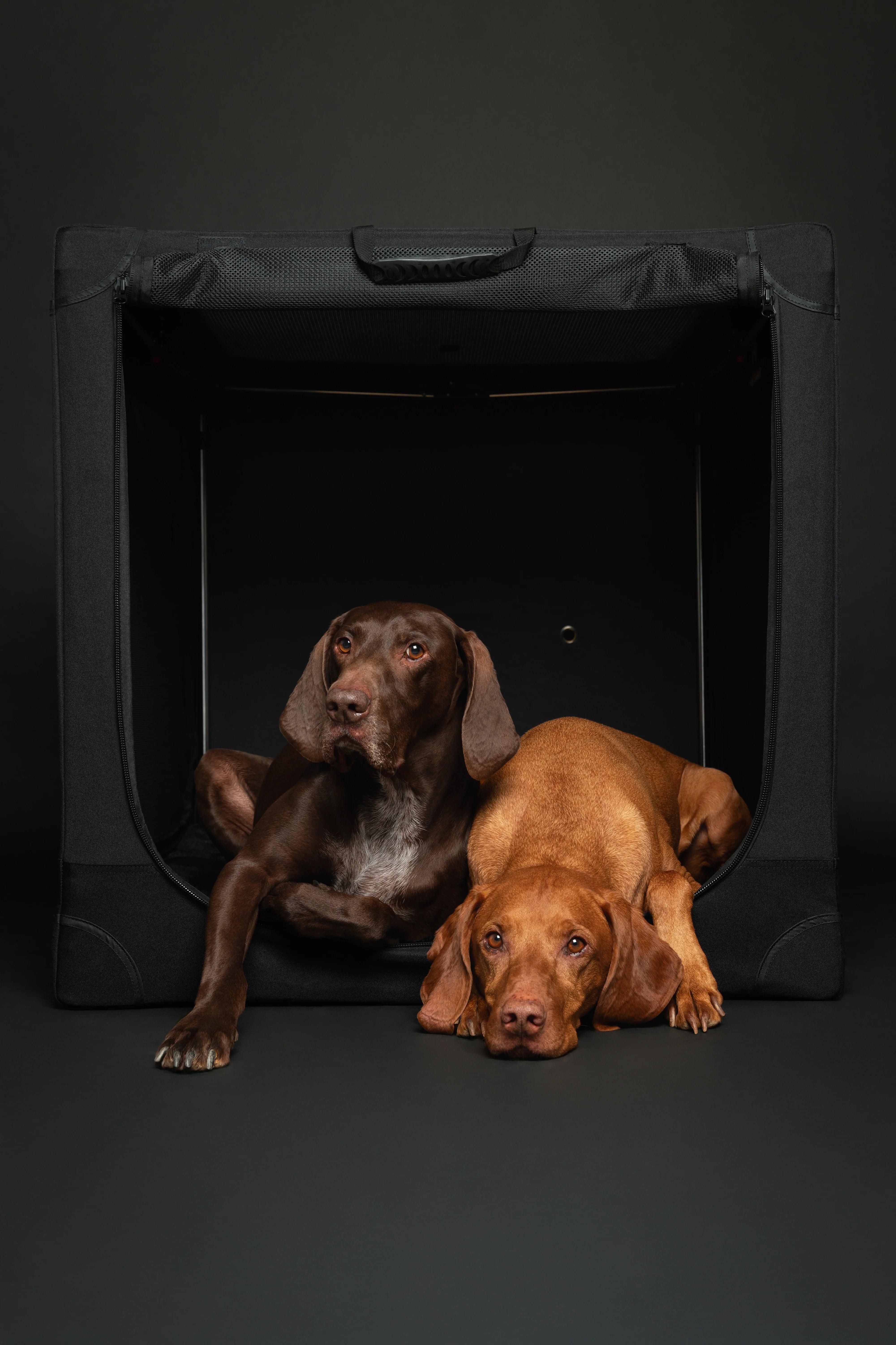Collapsible Dog Crate Including Pet Mat Ideal for Traveling (Patented Folding)