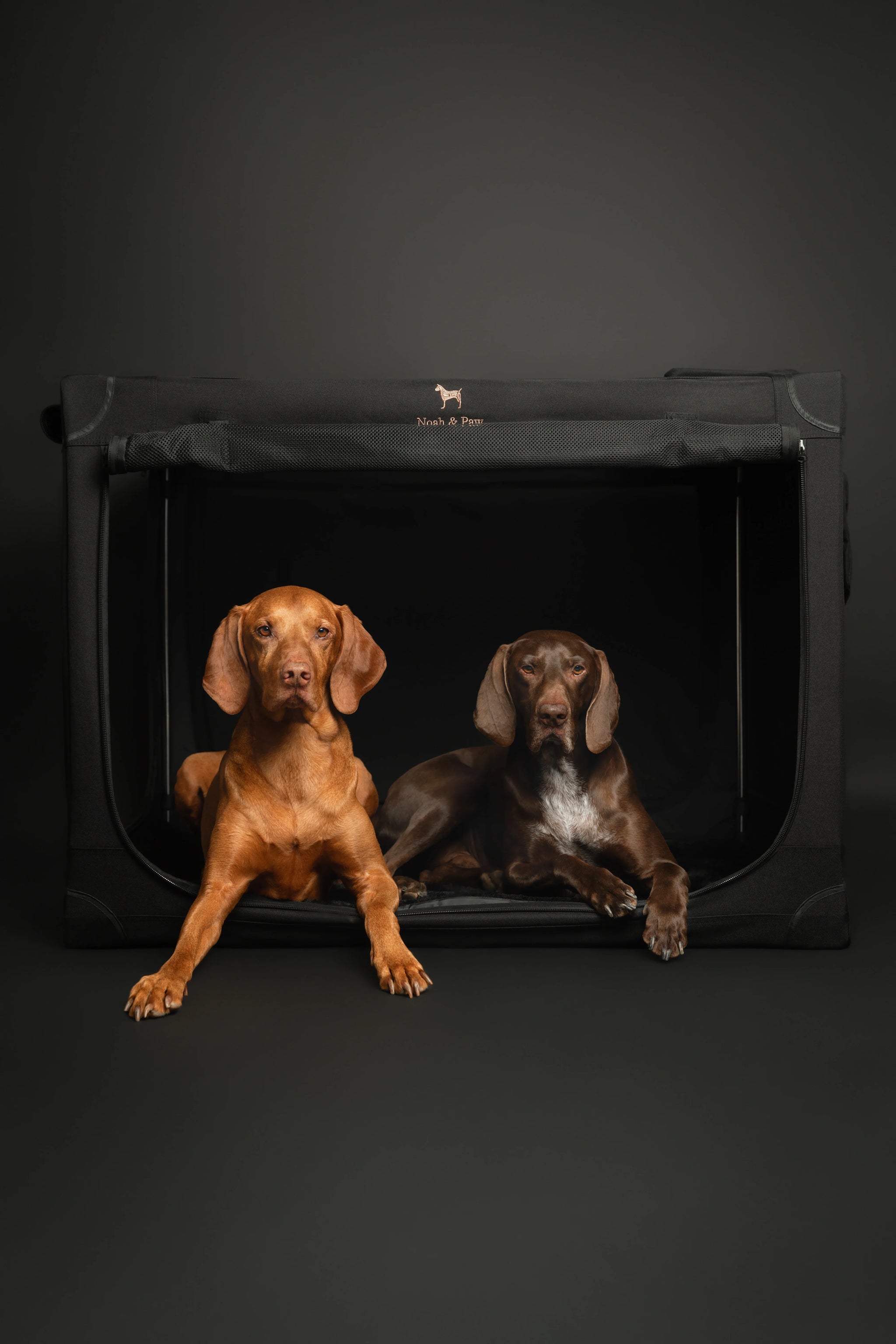 Collapsible Dog Crate Including Pet Mat Ideal for Traveling (Patented Folding)