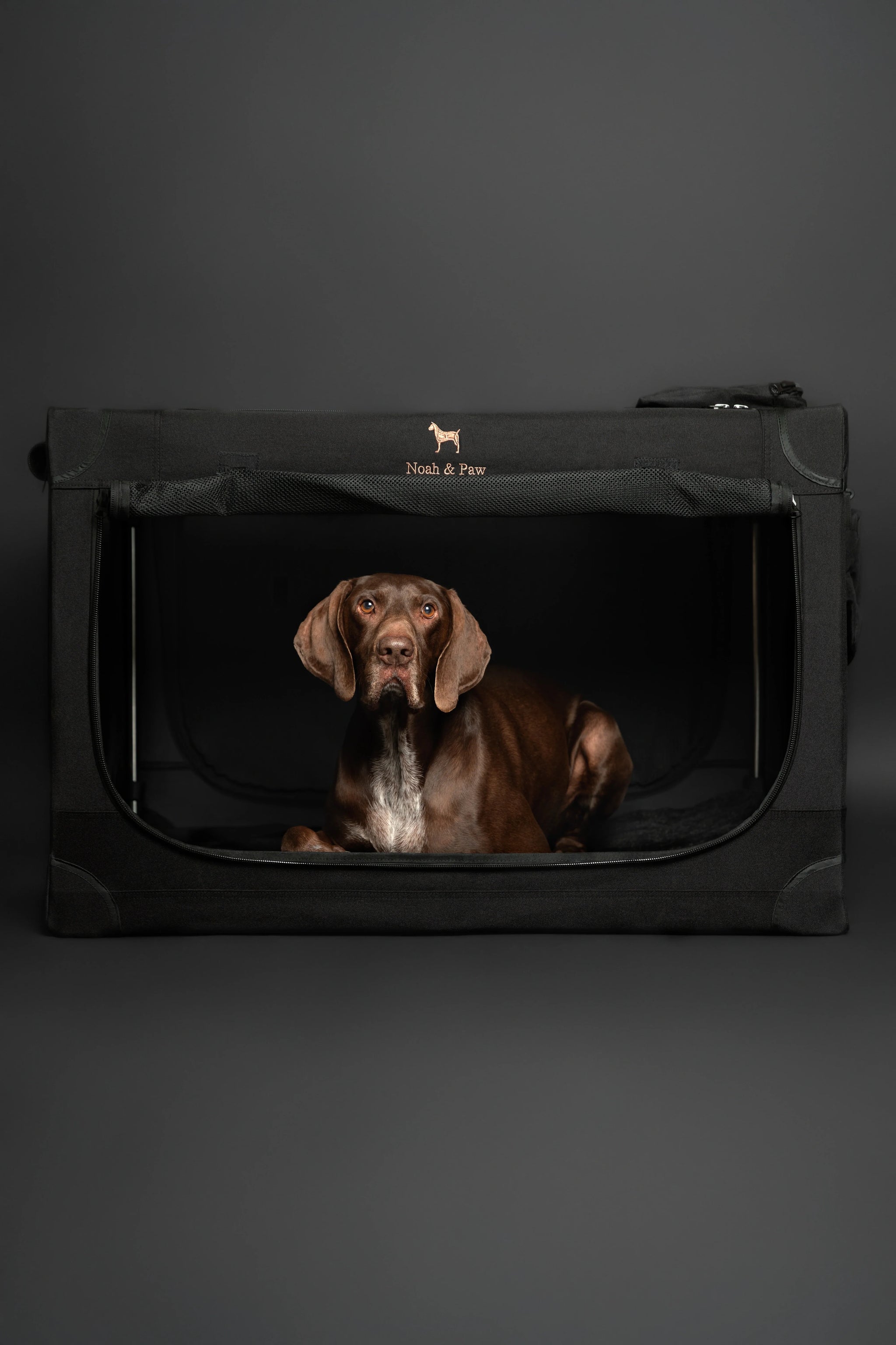 Collapsible Dog Crate Including Pet Mat Ideal for Traveling (Patented Folding)