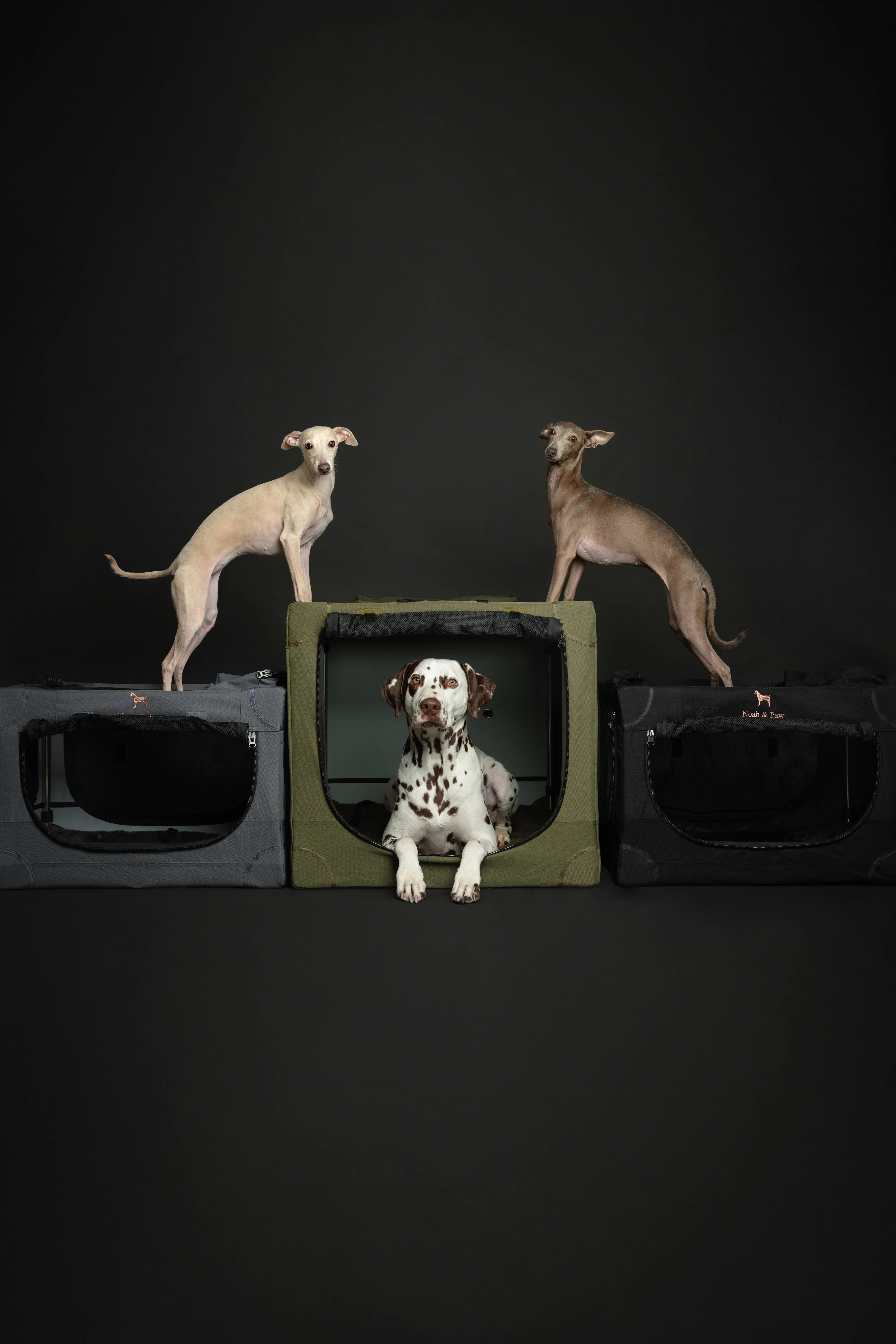 Collapsible Dog Crate Including Pet Mat Ideal for Traveling (Patented Folding)