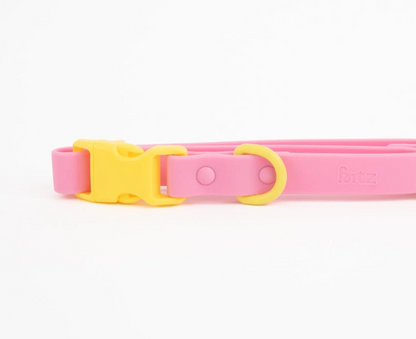 The Fritz Collar