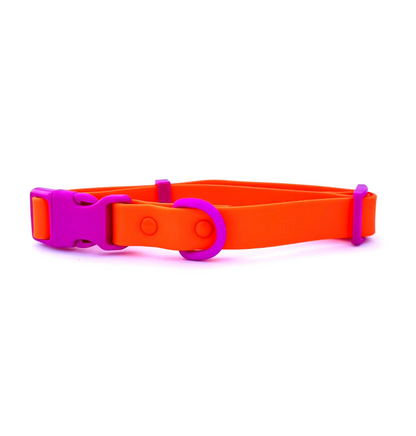 The Fritz Collar