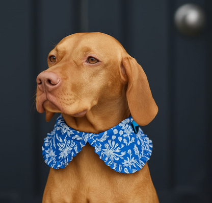 Pet Shirt Collar with Ruffles