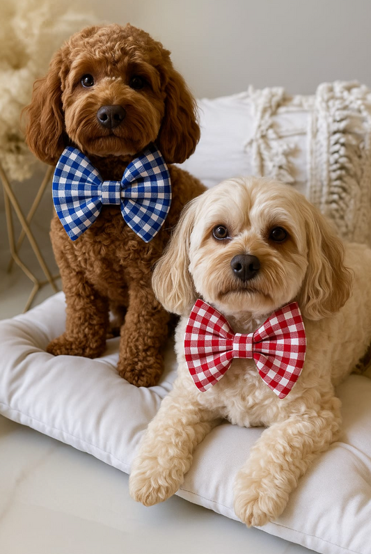 Ghingam Fabric Bow Ties for Pets