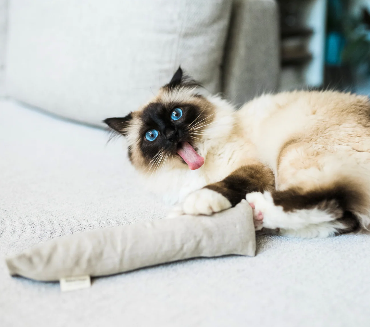 Cat Kicker Toy in Hemp and Cotton with Organic Catnip