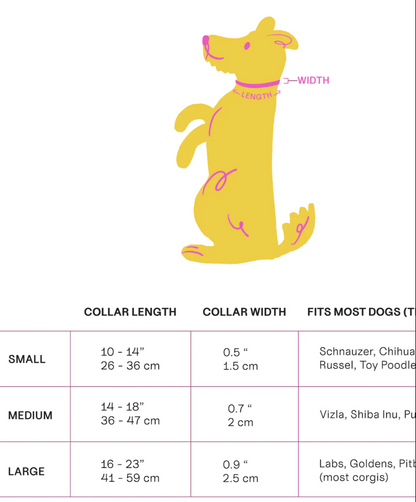 The Fritz Collar