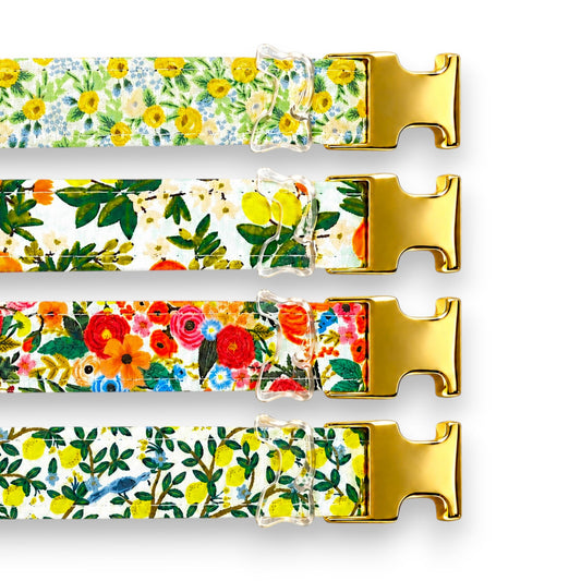 Classic Collection Collars- Stylish Designs