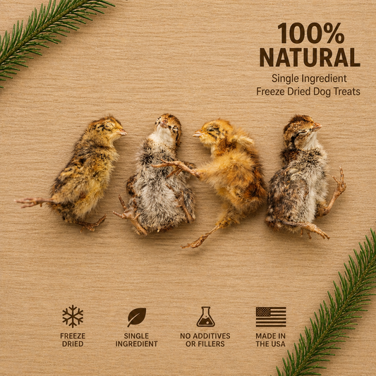 Freeze-Dried Whole Baby Quail Treats