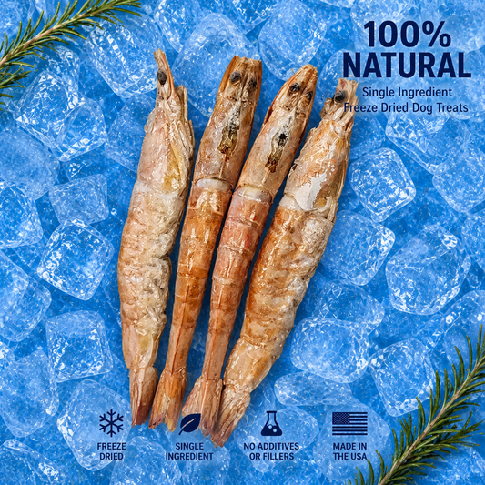 Freeze-Dried Jumbo Shrimp Dog Treats