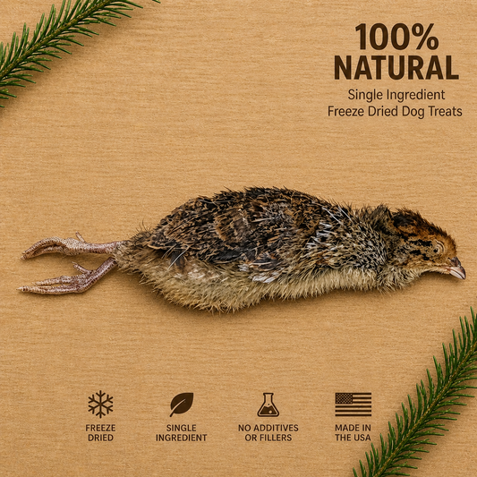 Freeze-Dried Small Quail Dog & Cat Treats