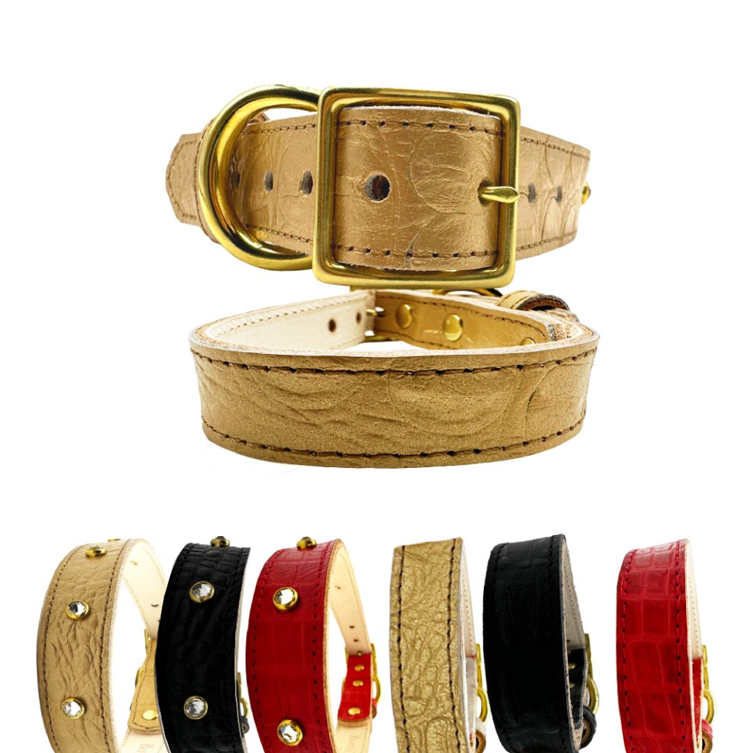 Croc Leather Dog Collar - Bonne et Filou