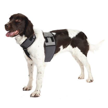 CoolerDog Dog Cooling Vest and Collar