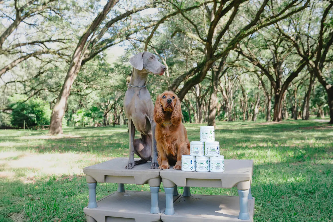 Science-backed supplement chews.