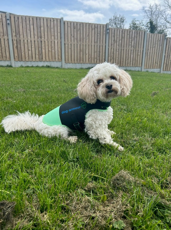 Anti-Bite Protection Vest for Dogs - Green