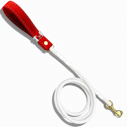 Luxe Collection Leashes