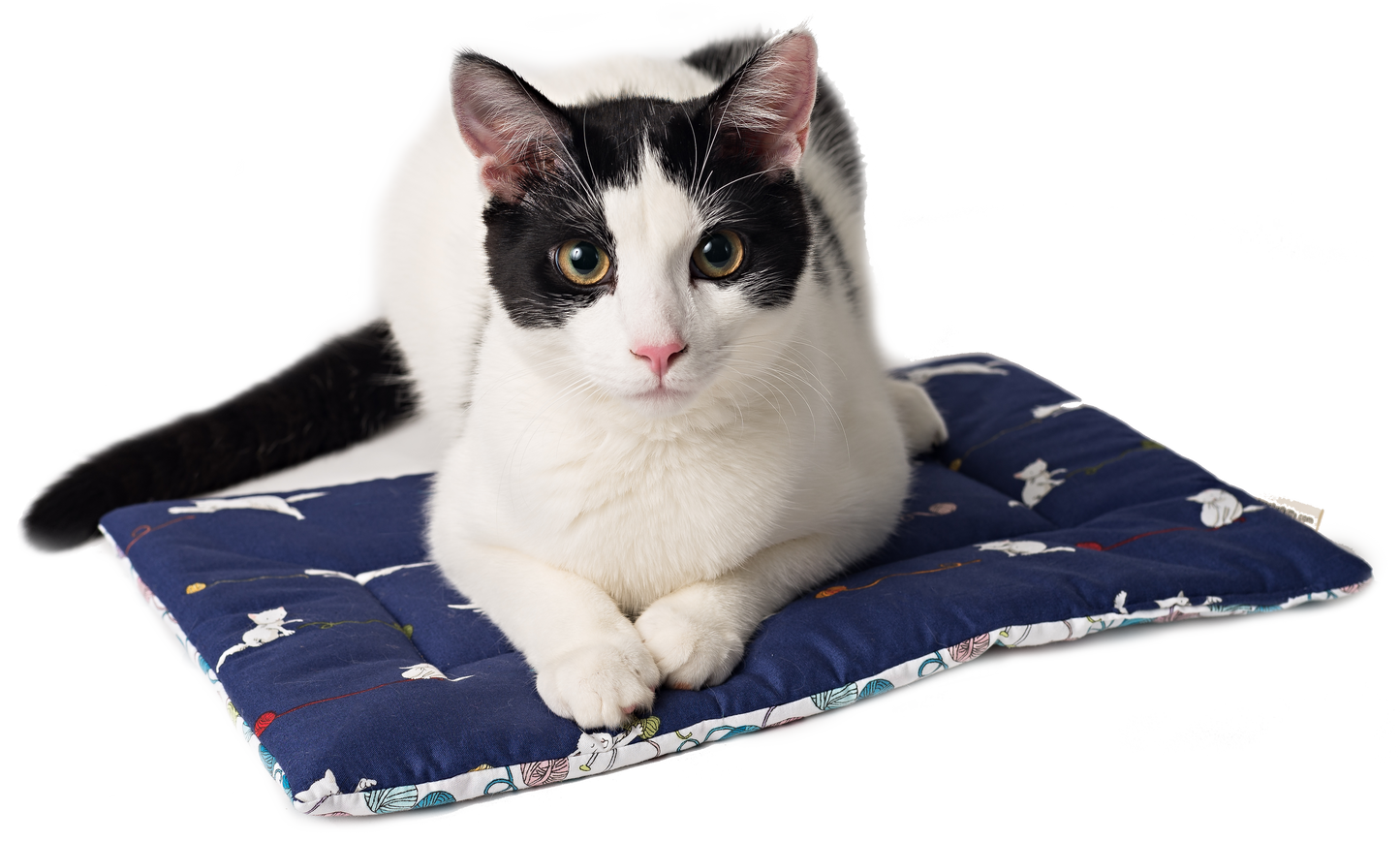 BLACK CAT Catnip Yoga Mat Cat Bed