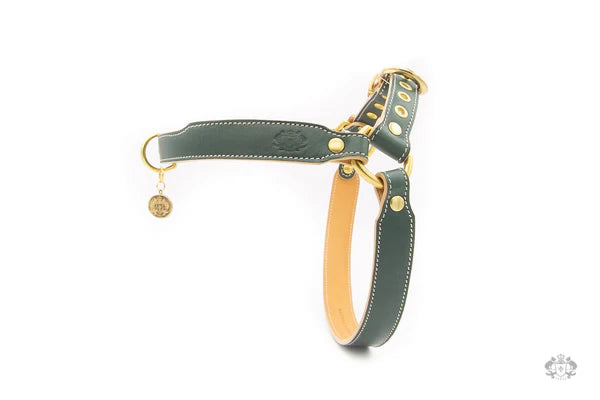 Cypress Green Leather Dog Harness