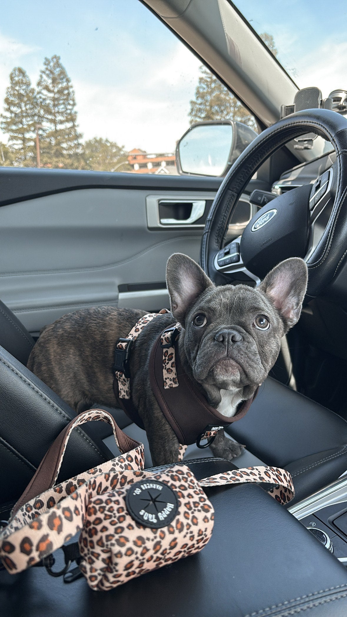Run Wild Adjustable Harness
